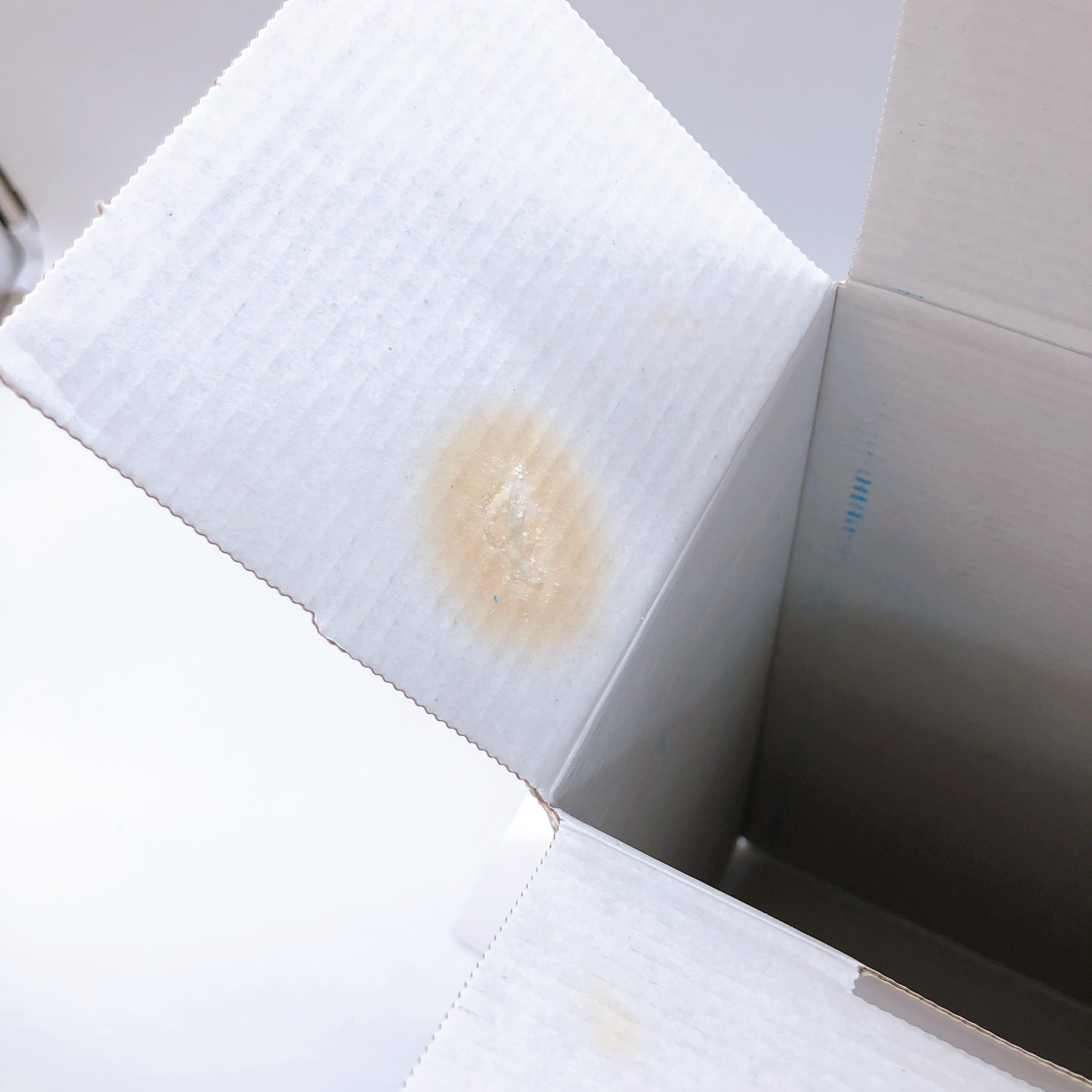 Nintendo Wii Sports Resort Game Console w/ 2 Remote Controls Plus Pack ver White