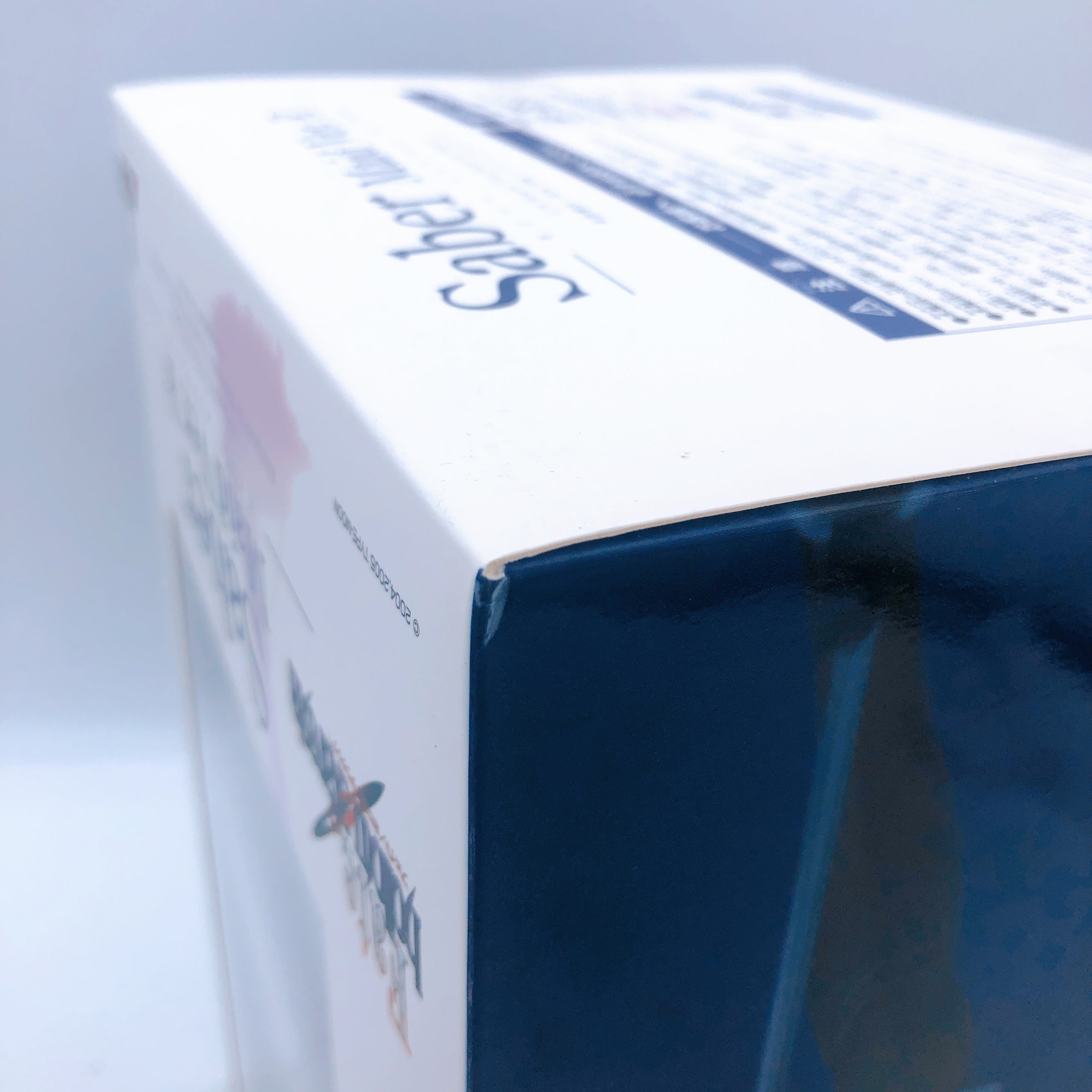 Fate/hollow ataraxia Saber Maid Ver. R 1/6 Scale Figure Alter Japan FASTSHIP