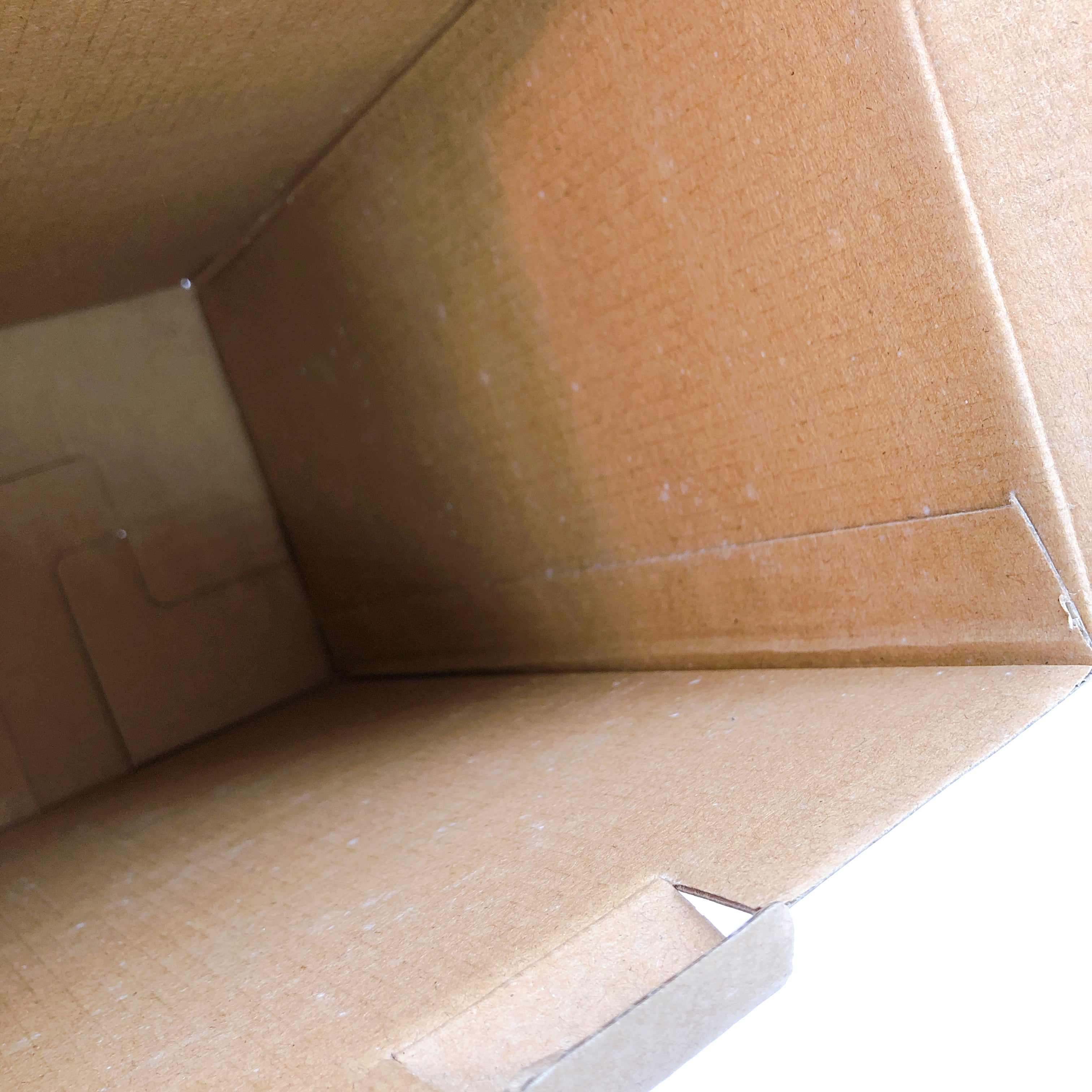 Fate/kaleid liner Prisma Illya Chloe von Einzbern The Beast 1/8 Figure + Bonus