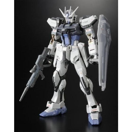 RG 1/144 Strike Gundam Deactive Mode Gunpla Model Kit Premium Bandai Japan NEW