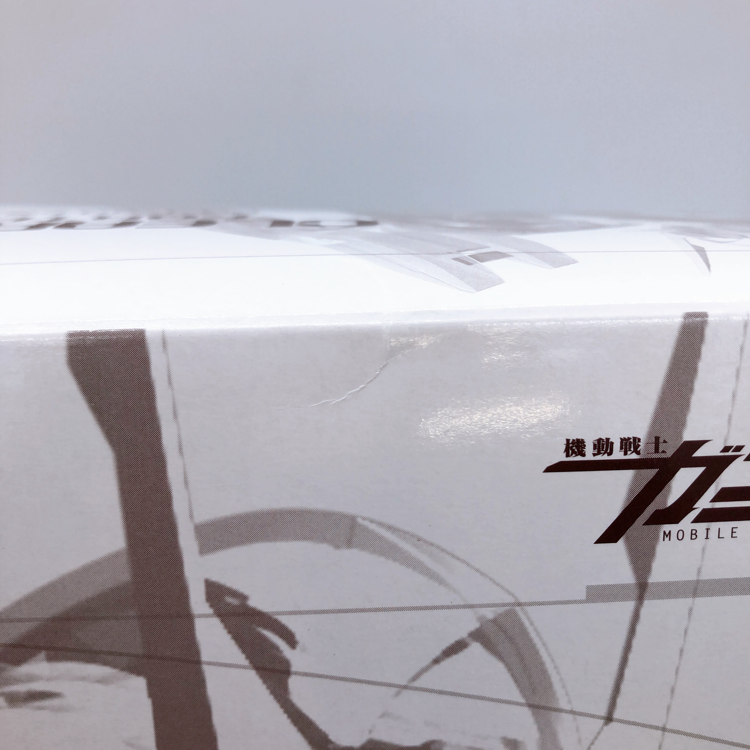 PG 1/60 Clear Color Body for TRANS-AM RAISER Model Kit Premium Bandai Japan NEW