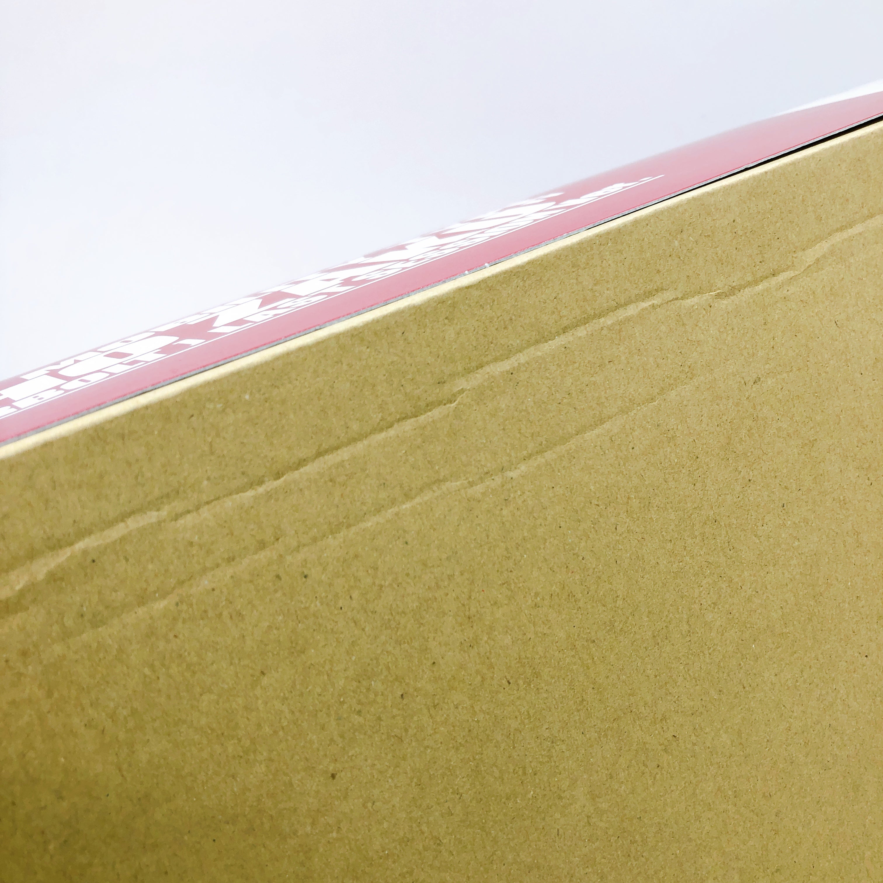 MG 1/100 Psycho Zaku Gundam Last Session Ver. Thunderbolt Kit Premium Bandai NEW