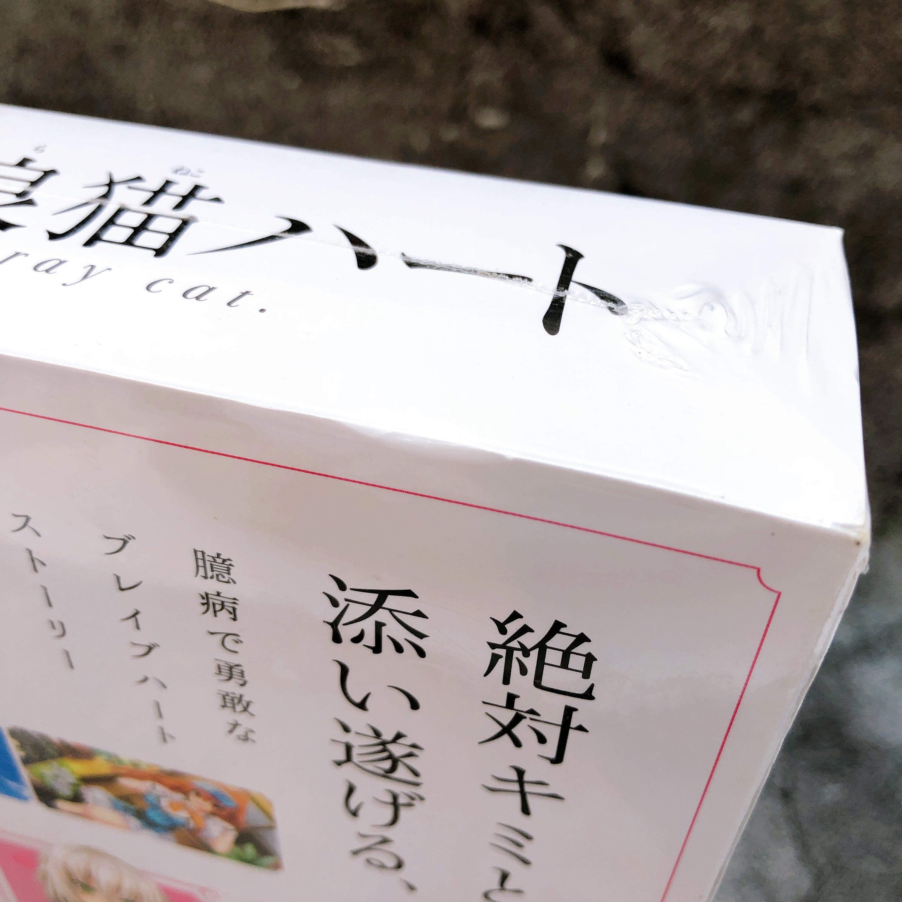 PS Vita Nora, Princess, and Stray cat Premium Edition HARUKAZE Japan Game Sealed