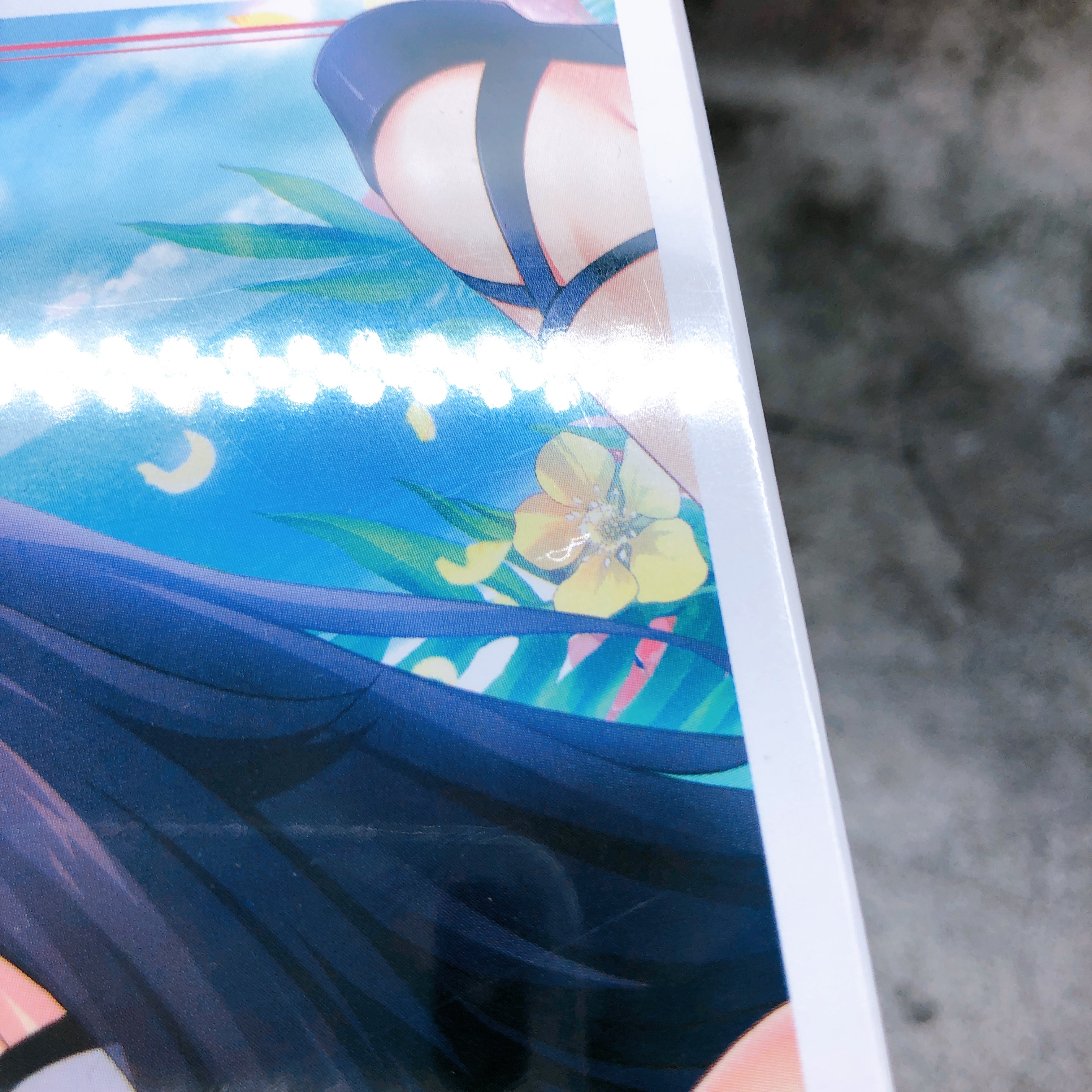 PS Vita Nora, Princess, and Stray cat Premium Edition HARUKAZE Japan Game Sealed