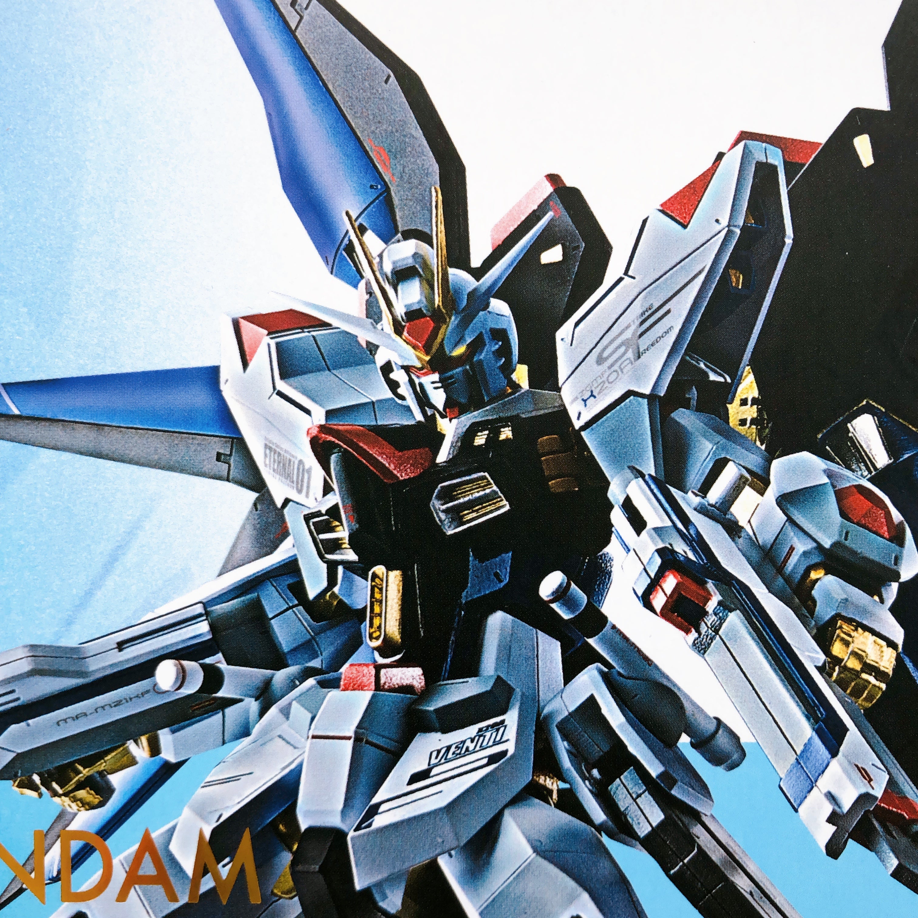Metal Robot Spirits SIDE MS Strike Freedom Gundam ZGMF-X20A Action Figure NEW