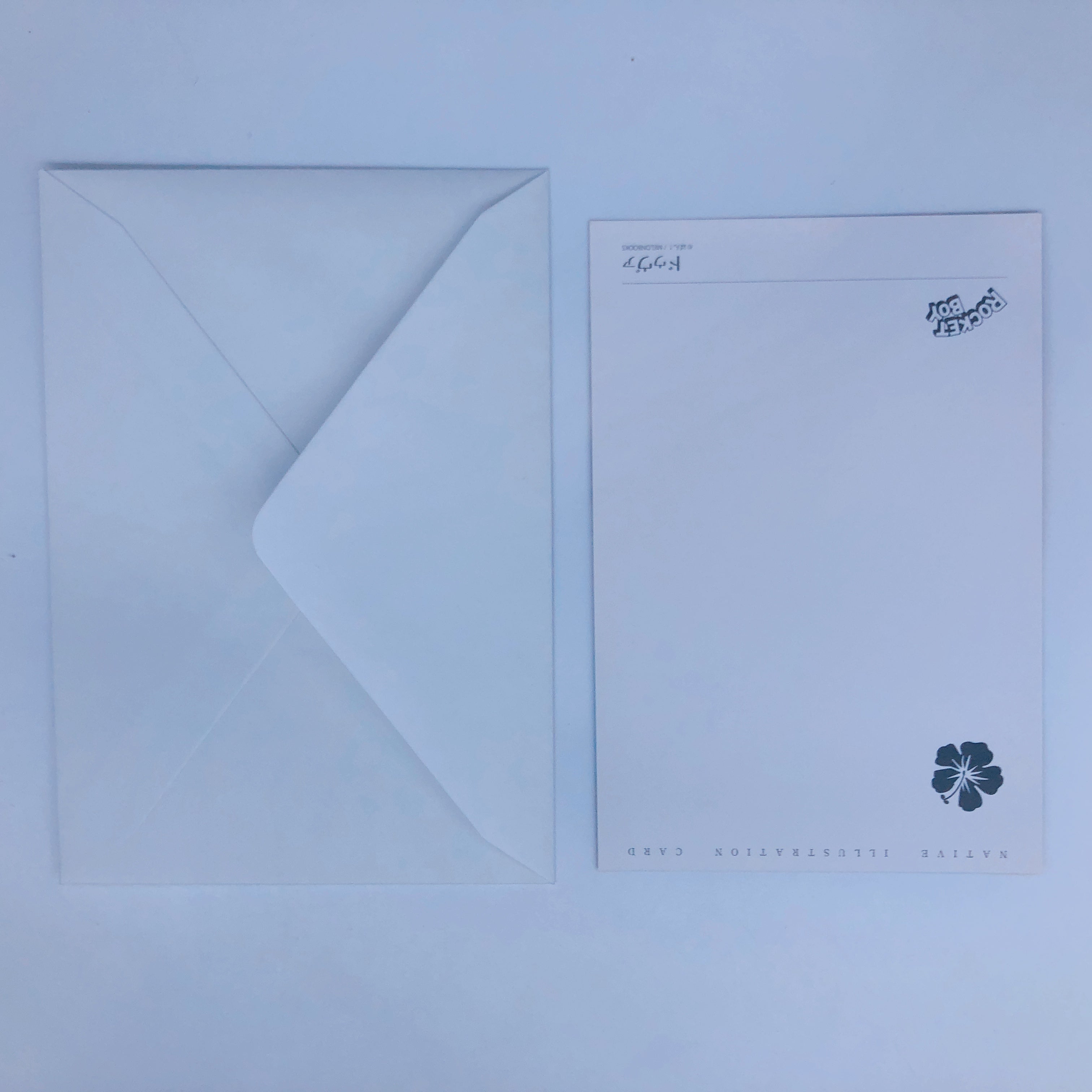 (w/Bonus) Melonbooks Futanari Character DVA 1/6 Scale Figure Native Original