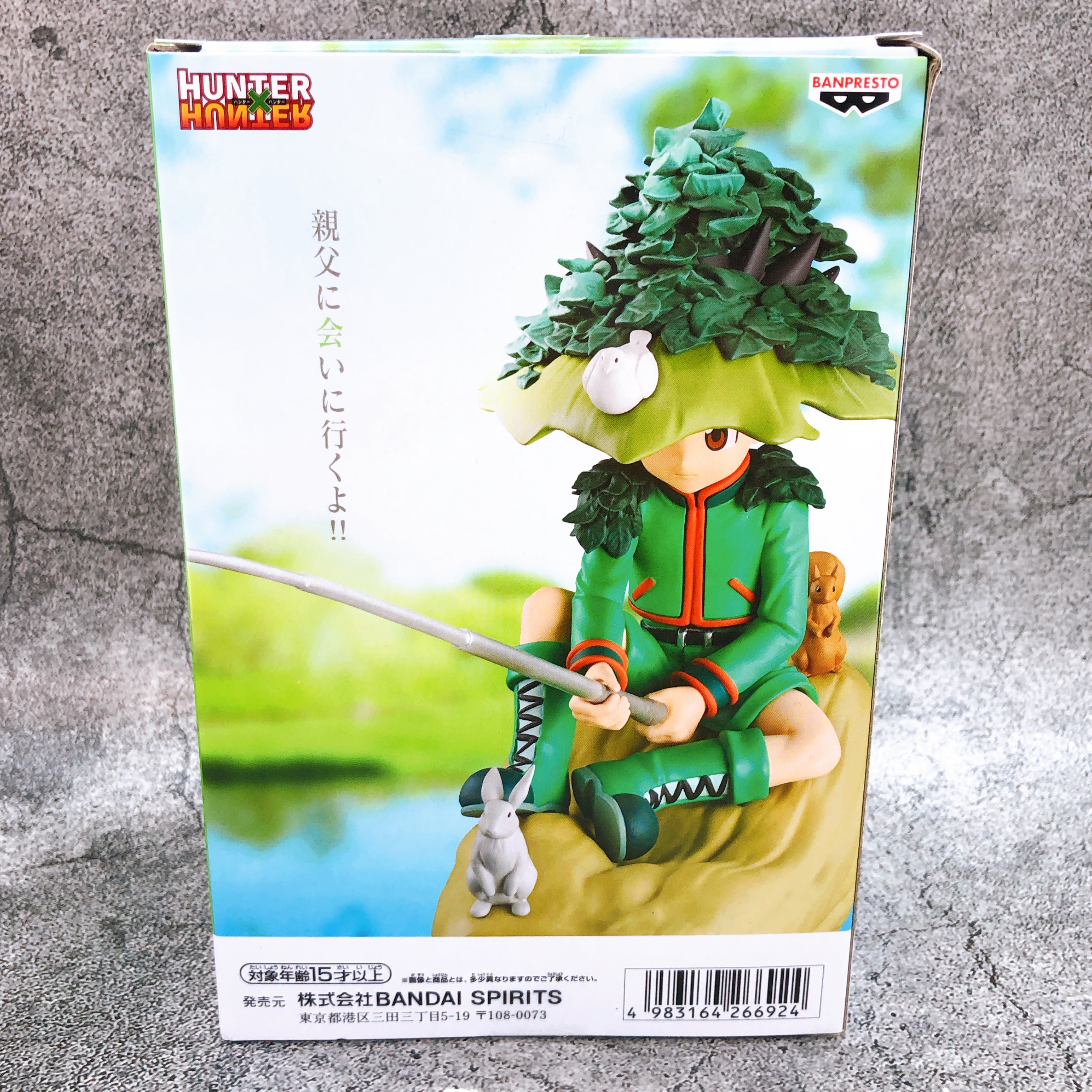 Hunter x Hunter Gon Memorable Saga Special Banpresto Prize PVC Figure NEW