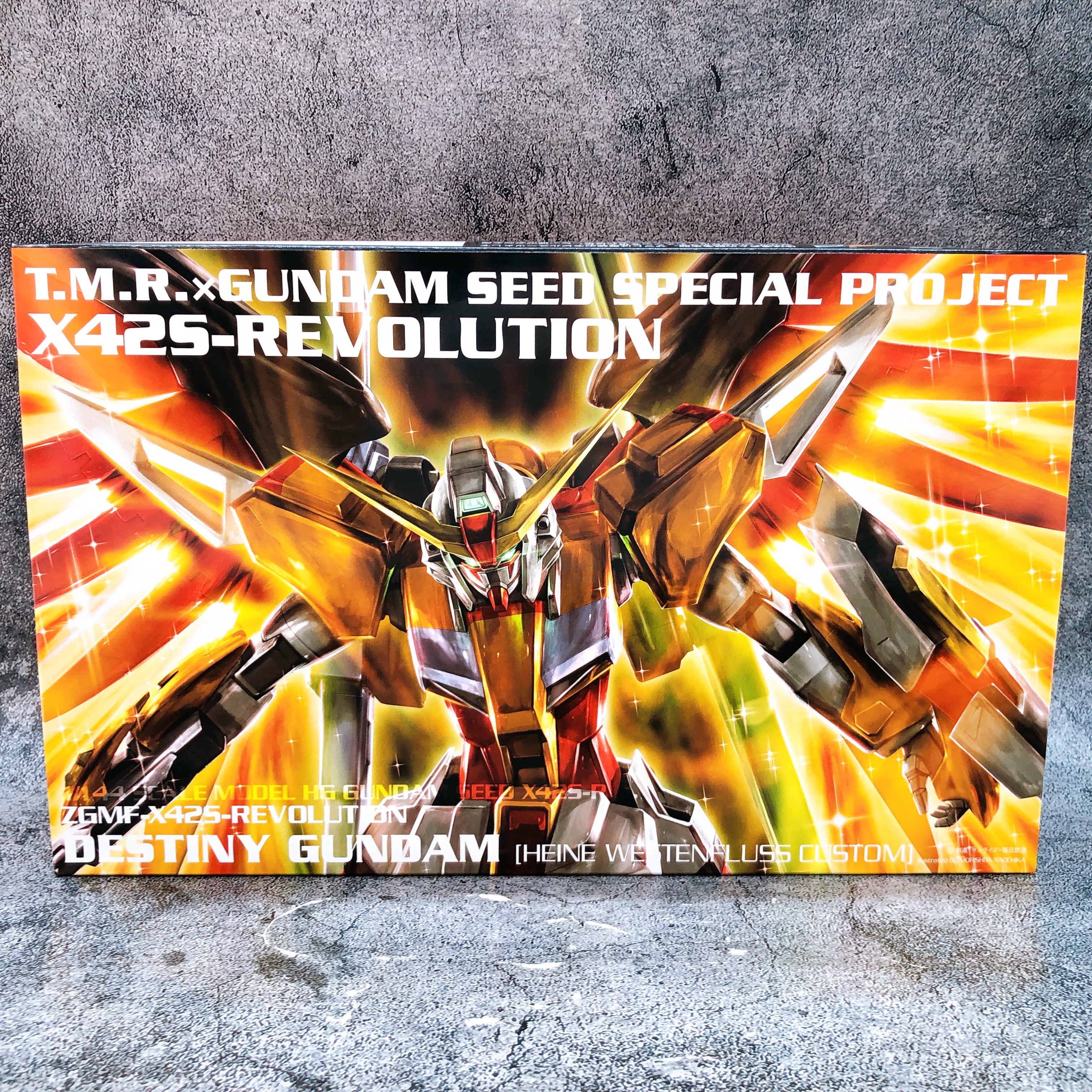 HG 1/144 Destiny Gundam Heine Custom X42S-REVOLUTION First Limited Kit 15+ Japan