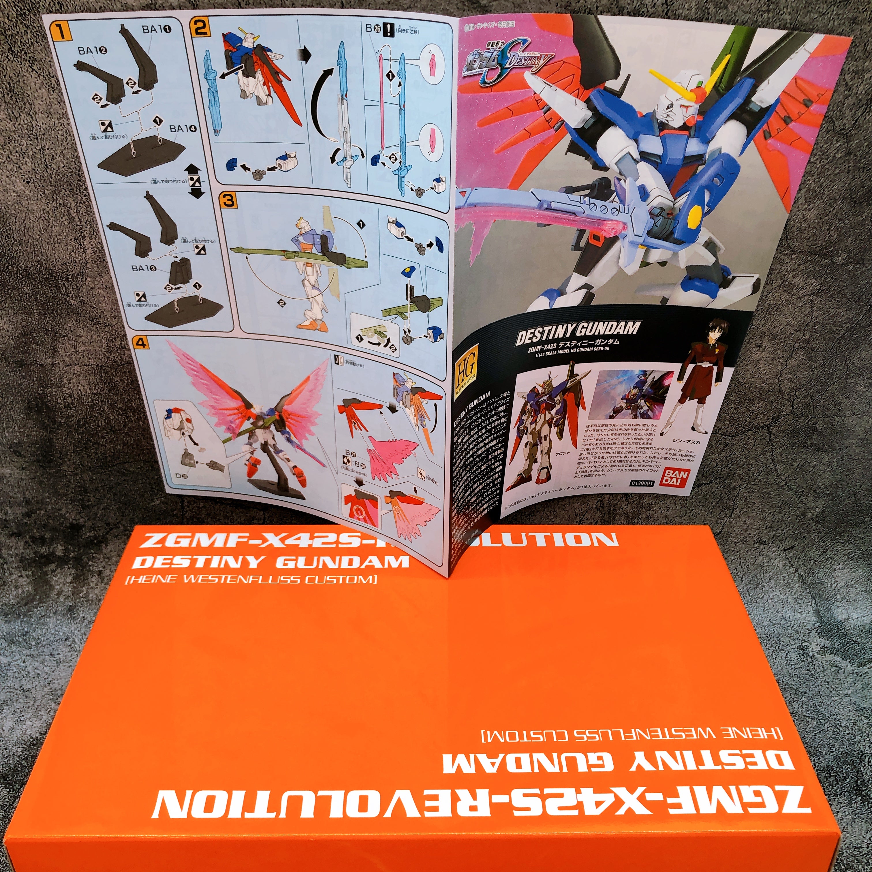 HG 1/144 Destiny Gundam Heine Custom X42S-REVOLUTION First Limited Kit 15+ Japan