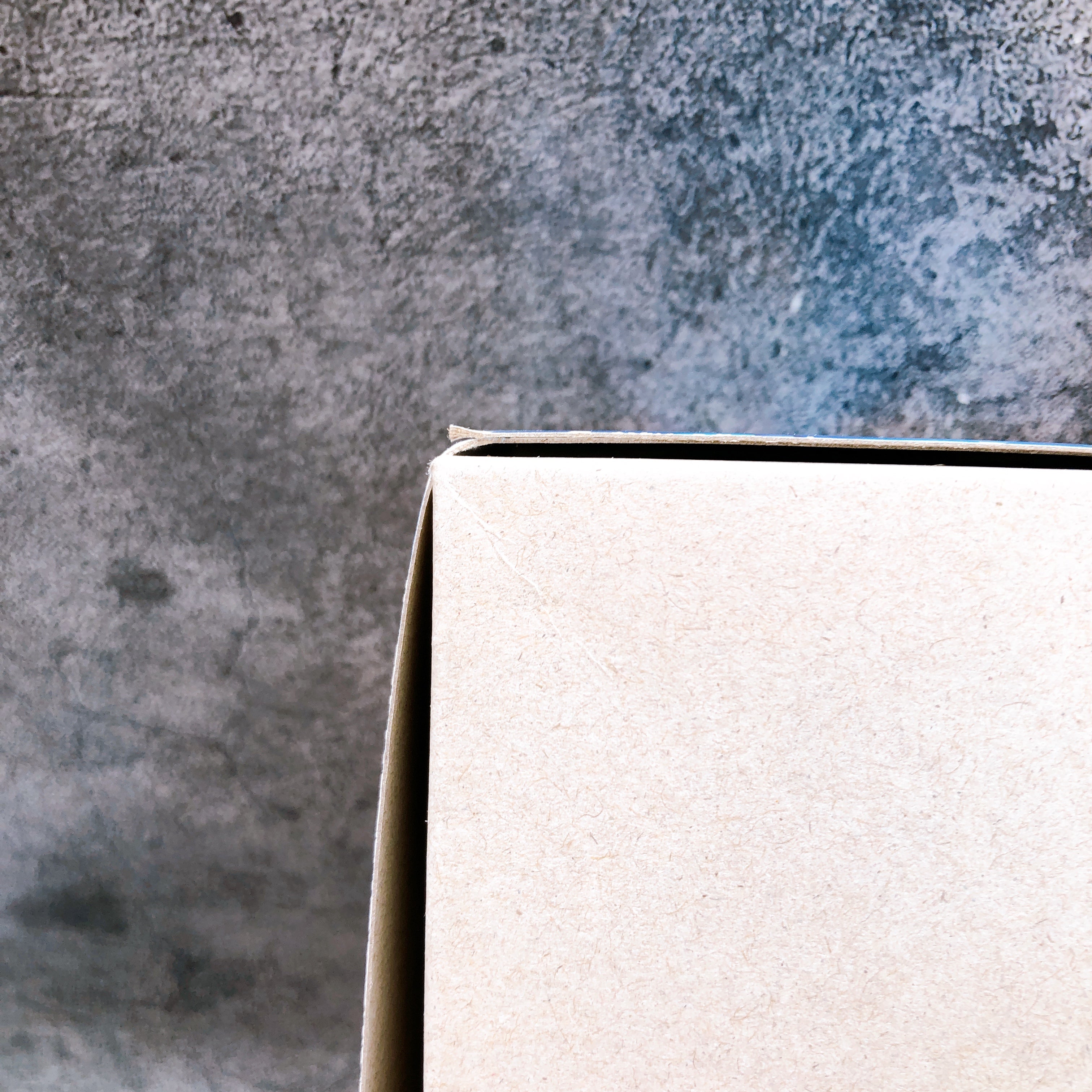 Mega Man X Premium Charge Shot Ver. Rockman X Limited Model Kit KOTOBUKIYA Japan