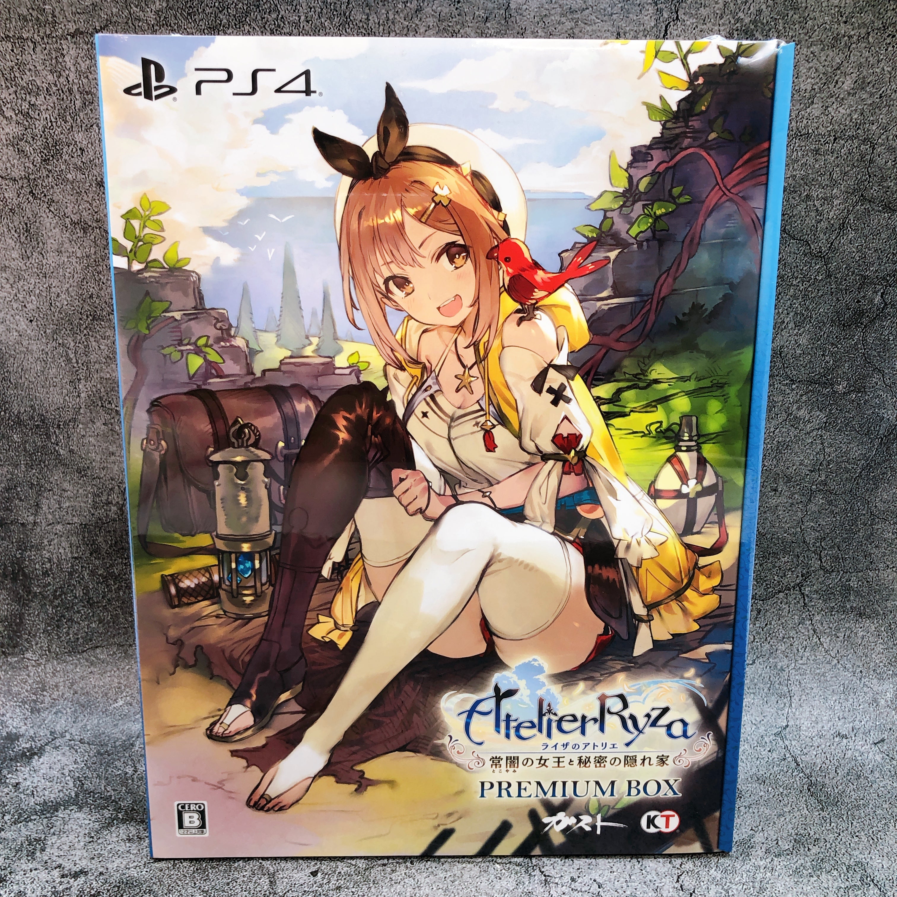 PS4 Atelier Ryza Ever Darkness & The Secret Hideout Premium Box Japan Game NEW
