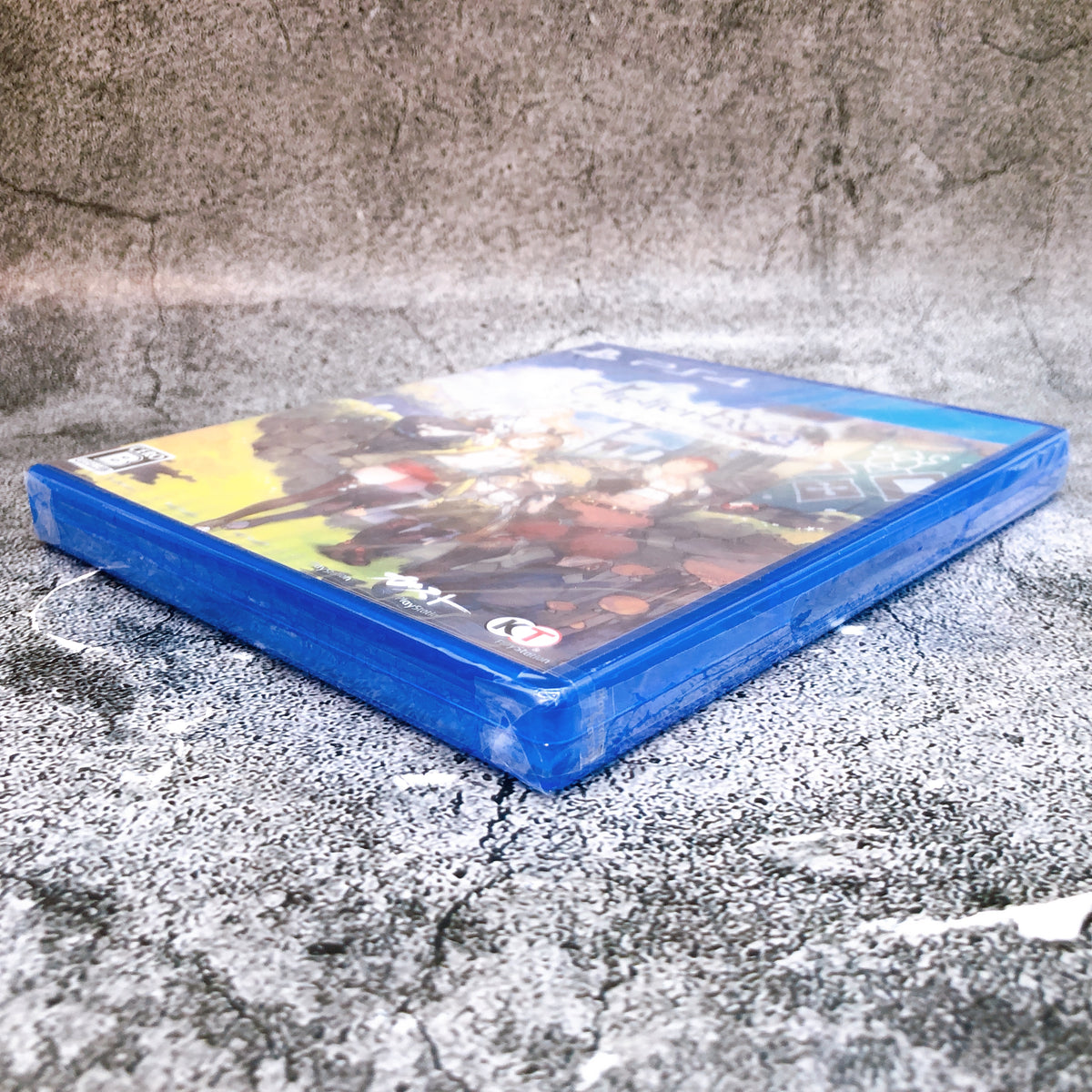 PS4 Atelier Ryza Ever Darkness & The Secret Hideout Koei Tecmo Japan Game Sealed