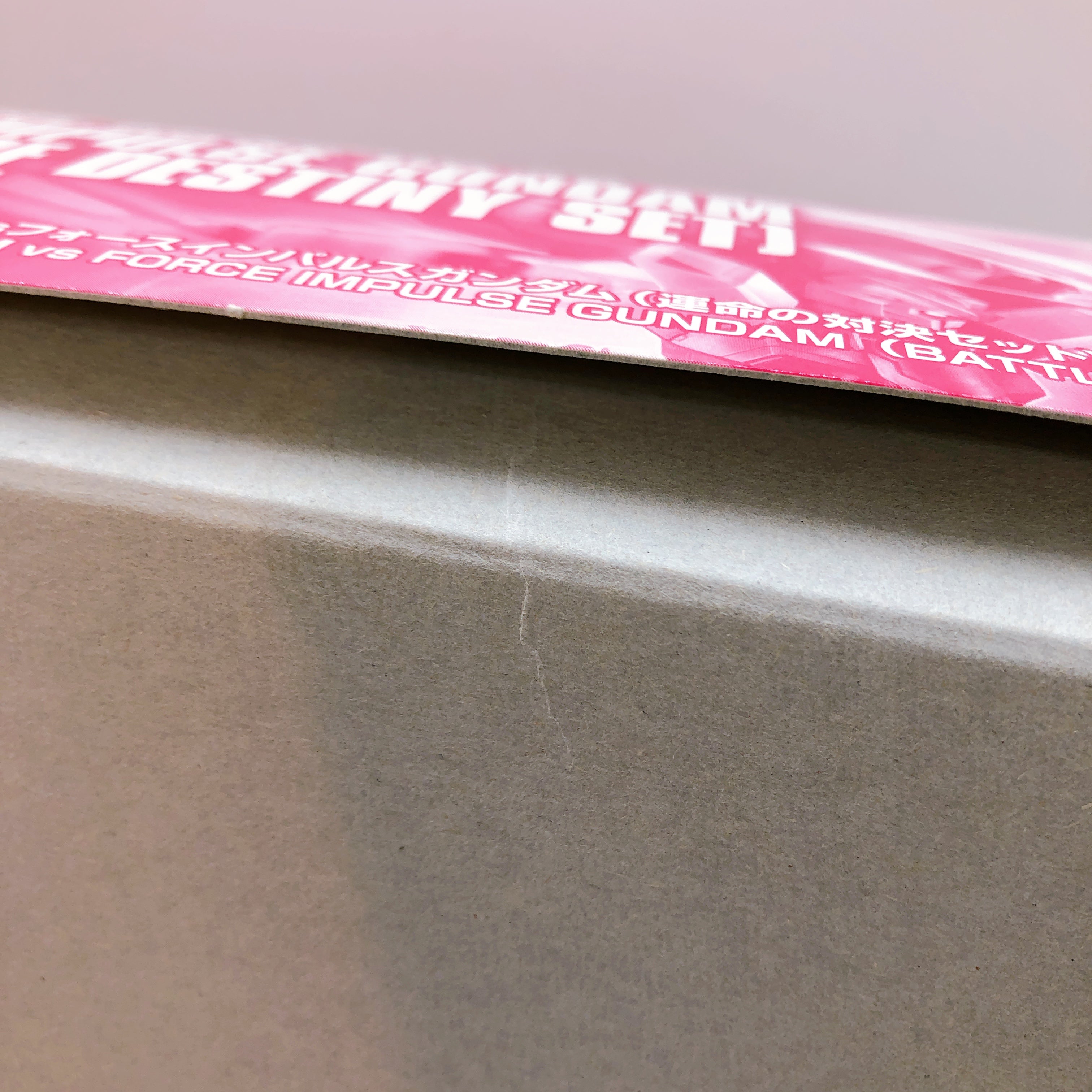 HG 1/144 Freedom Gundam vs Force Impulse Gundam Set Metallic Limited Kit Bandai