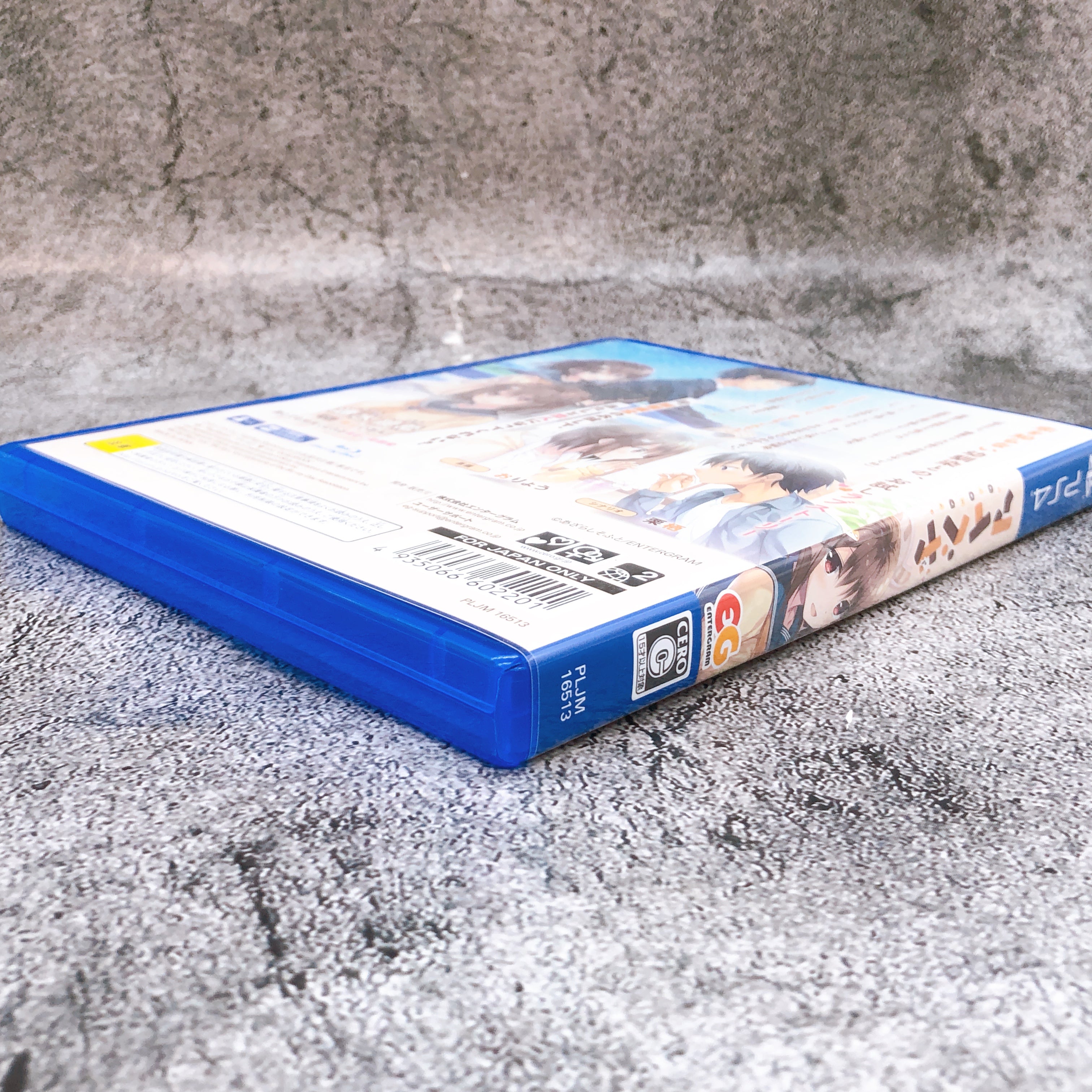 PlayStation 4 AIBEYA Normal Ver. PS4 Enter Gram Japan Adventure Game FASTSHIP