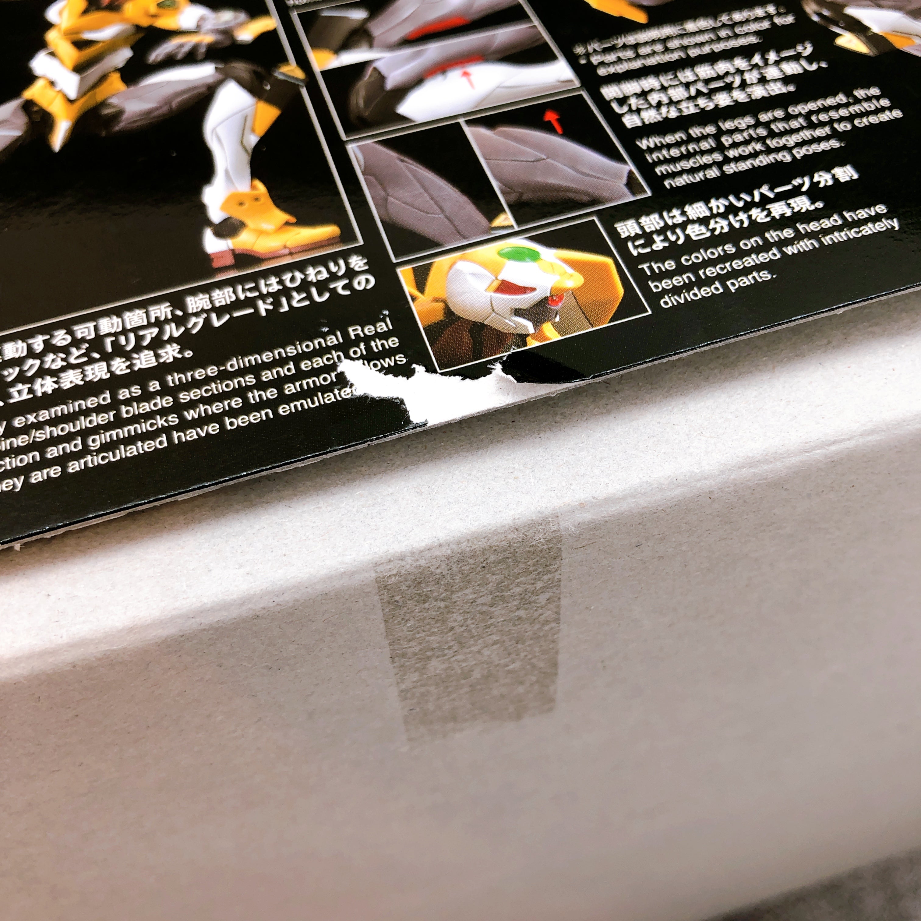 RG Evangelion Unit-00 Neon Genesis Evangelion Non Scale Model Kit Bandai Japan