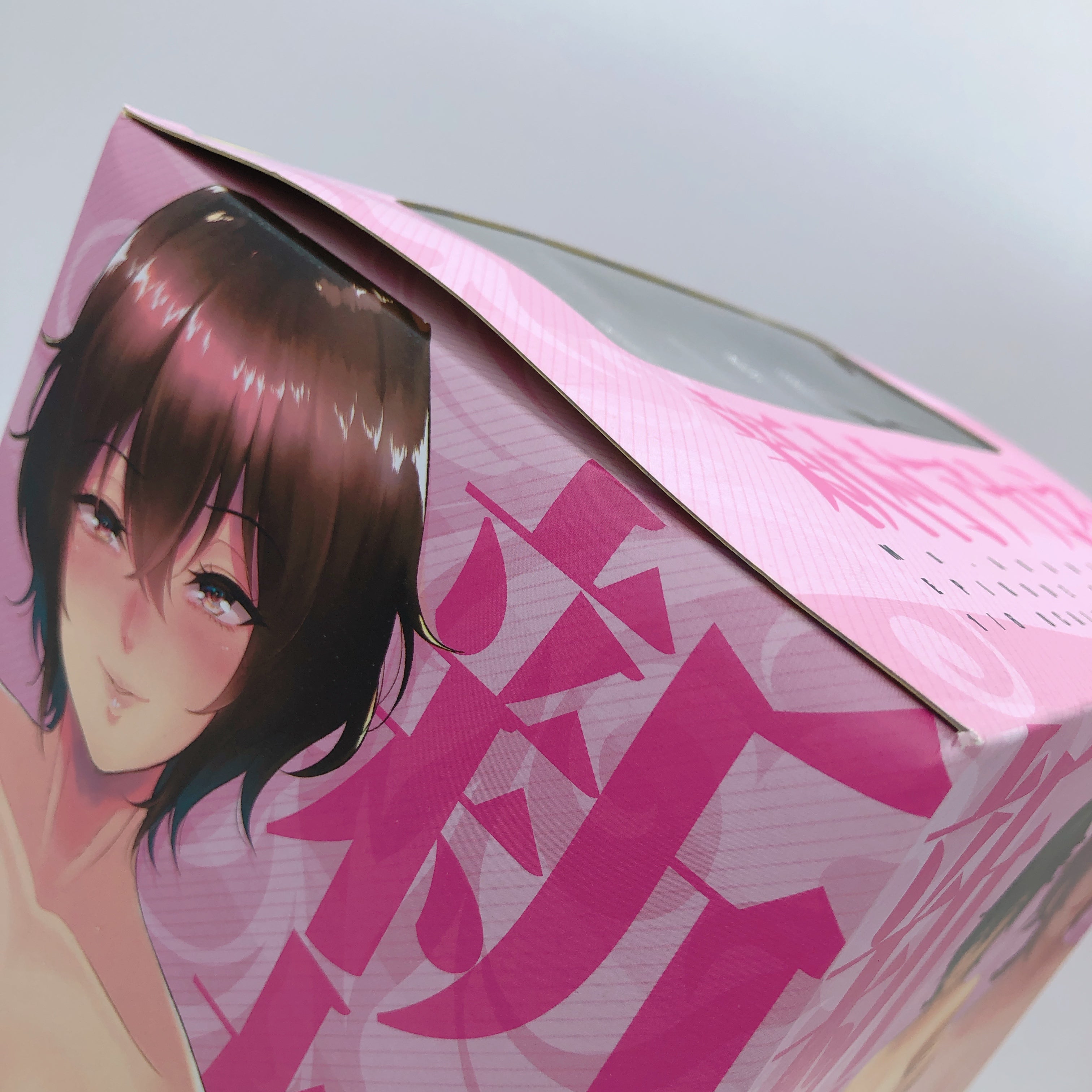 Akane Niimura Episode by Bifidus Auntie Akane and Me 1/6 Scale PVC Figure NEW