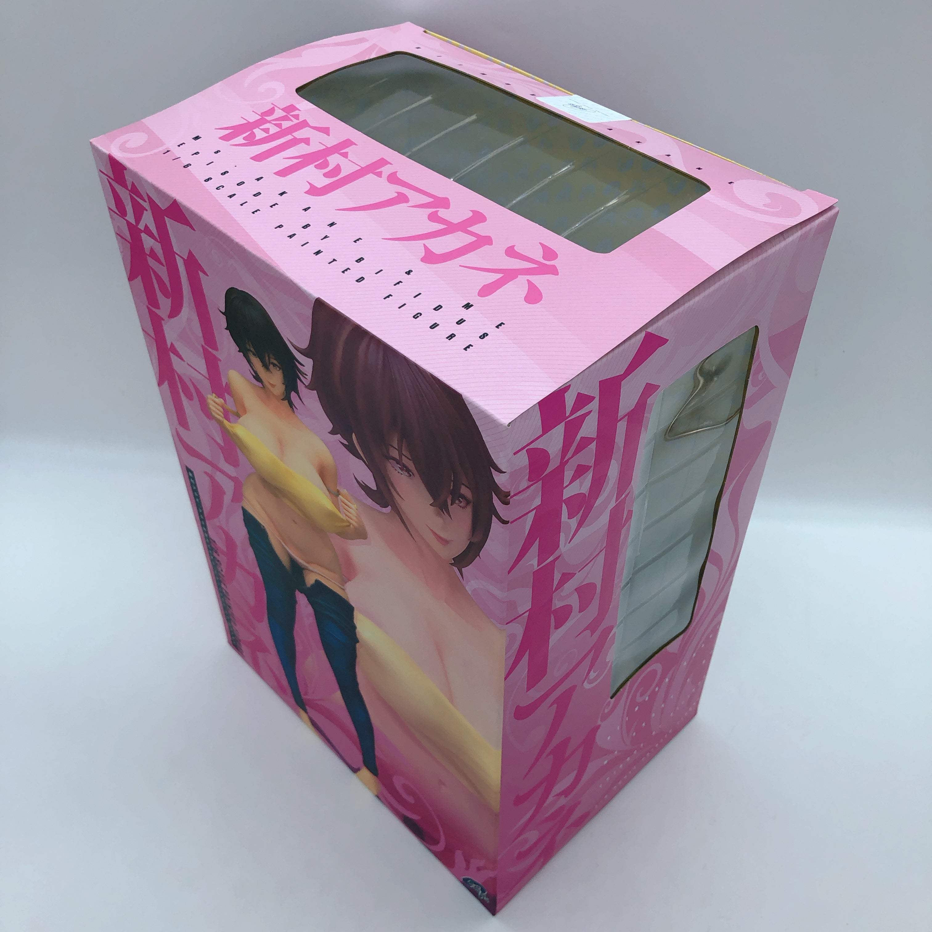 Akane Niimura Episode by Bifidus Auntie Akane and Me 1/6 Scale PVC Figure NEW