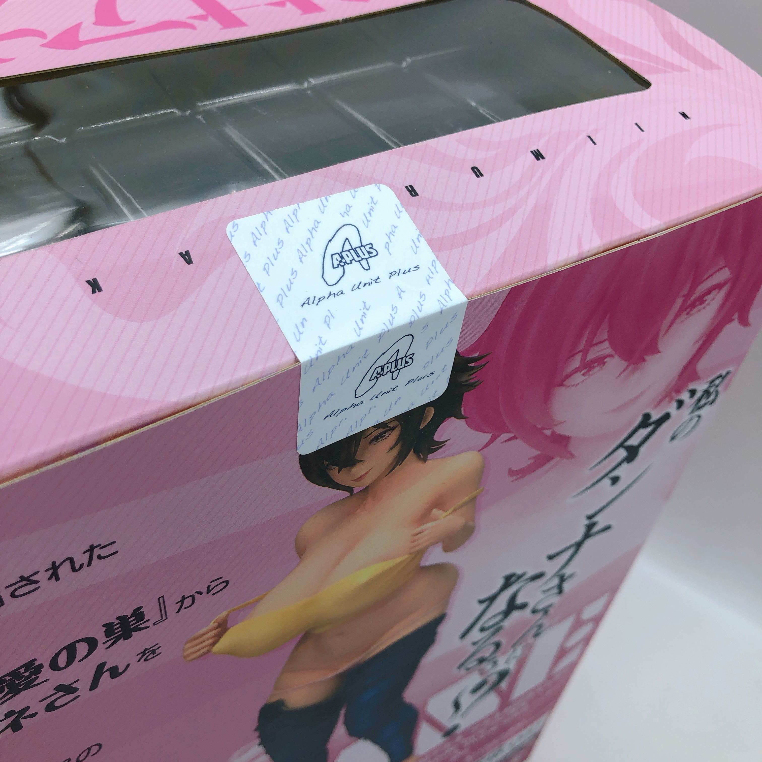 Akane Niimura Episode by Bifidus Auntie Akane and Me 1/6 Scale PVC Figure NEW