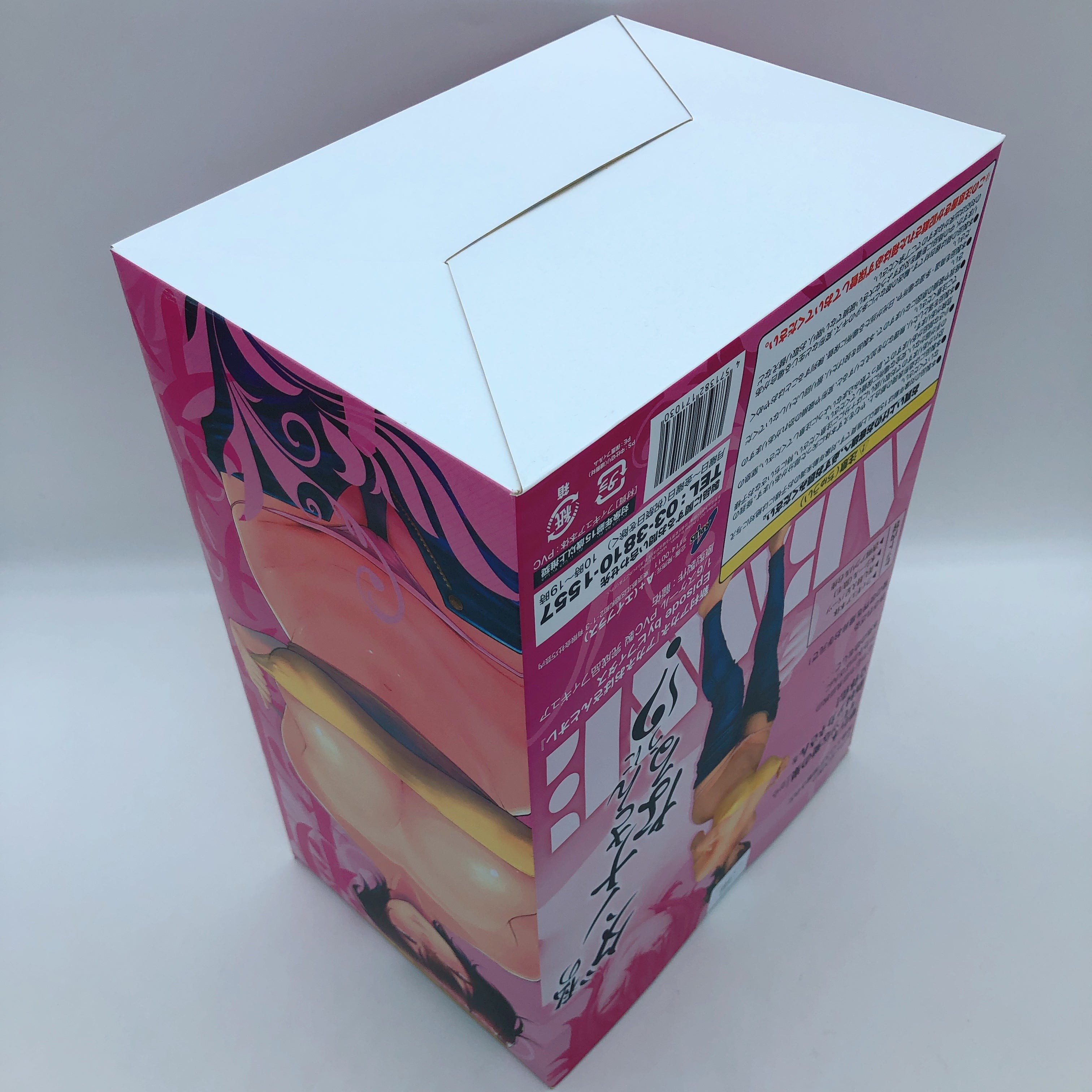 Akane Niimura Episode by Bifidus Auntie Akane and Me 1/6 Scale PVC Figure NEW