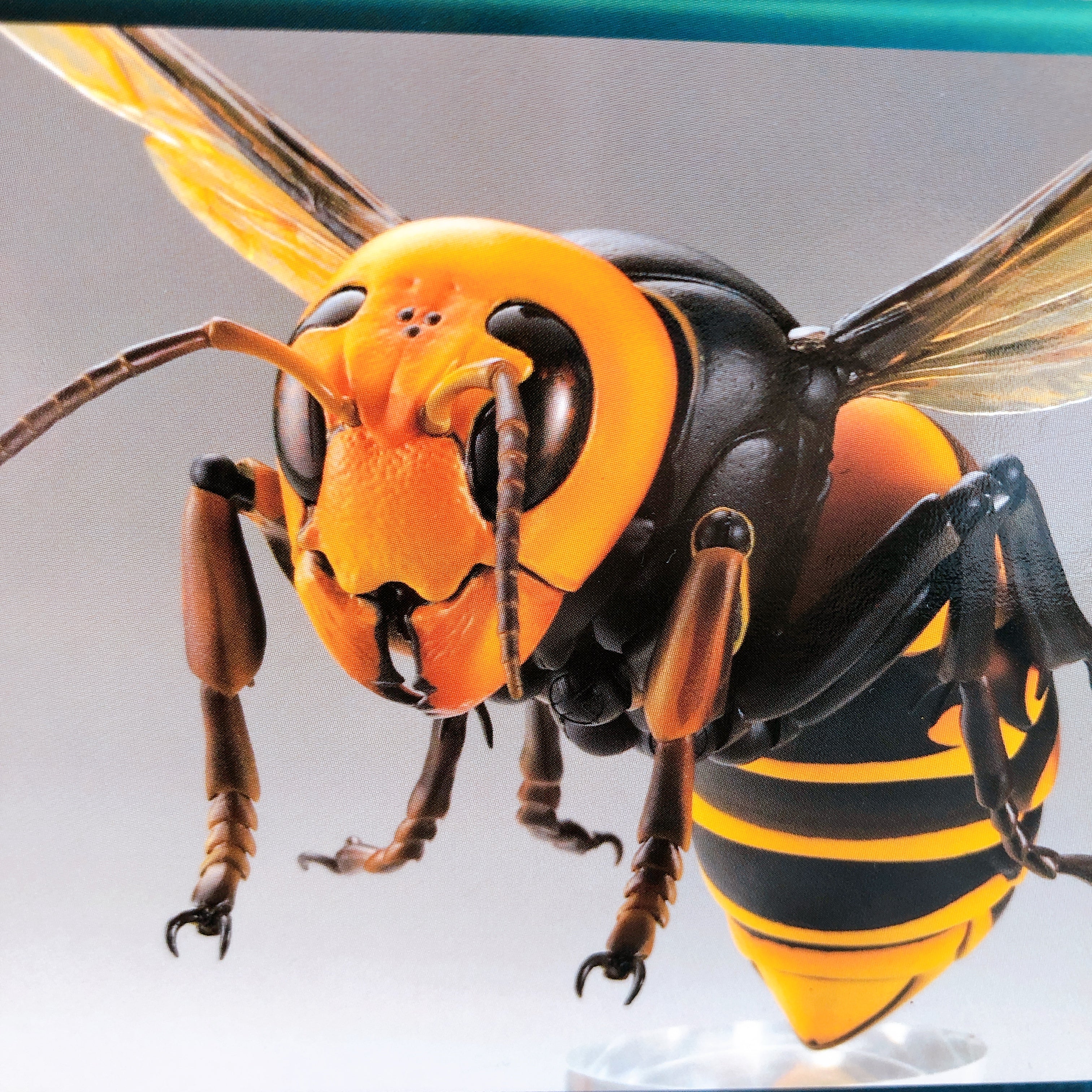 REVO GEO Asian Giant Hornet Vespa Mandarinia Action Figure Kaiyodo AUTHENTIC