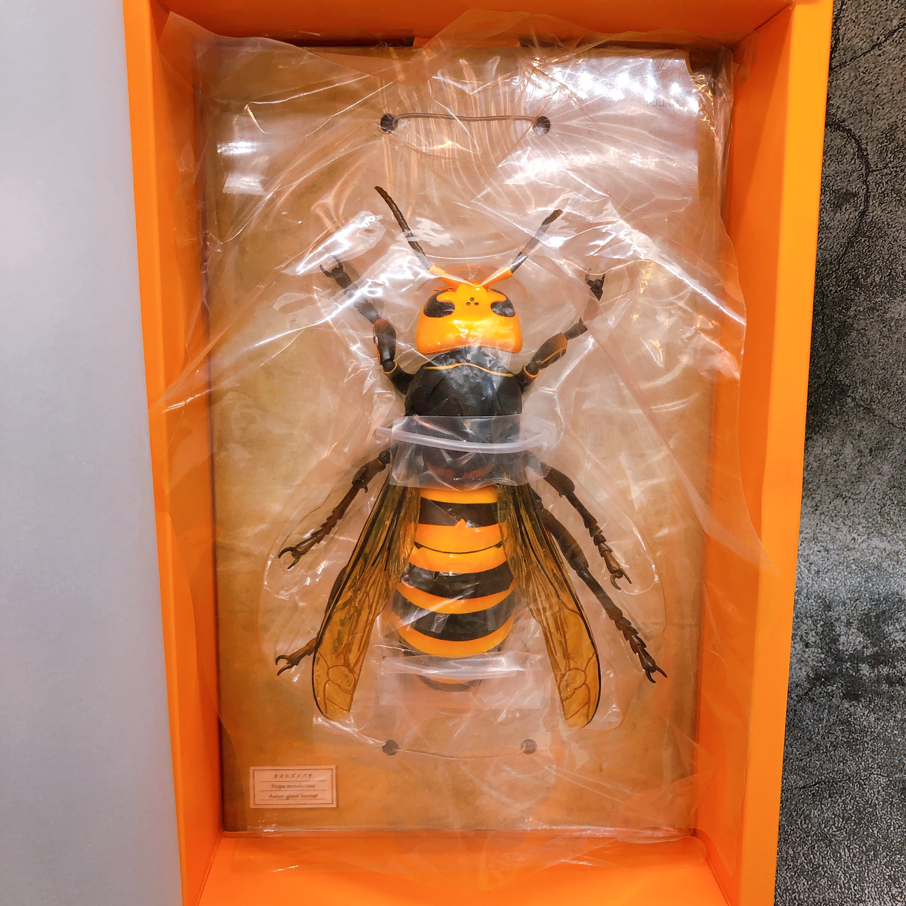 REVO GEO Asian Giant Hornet Vespa Mandarinia Action Figure Kaiyodo AUTHENTIC