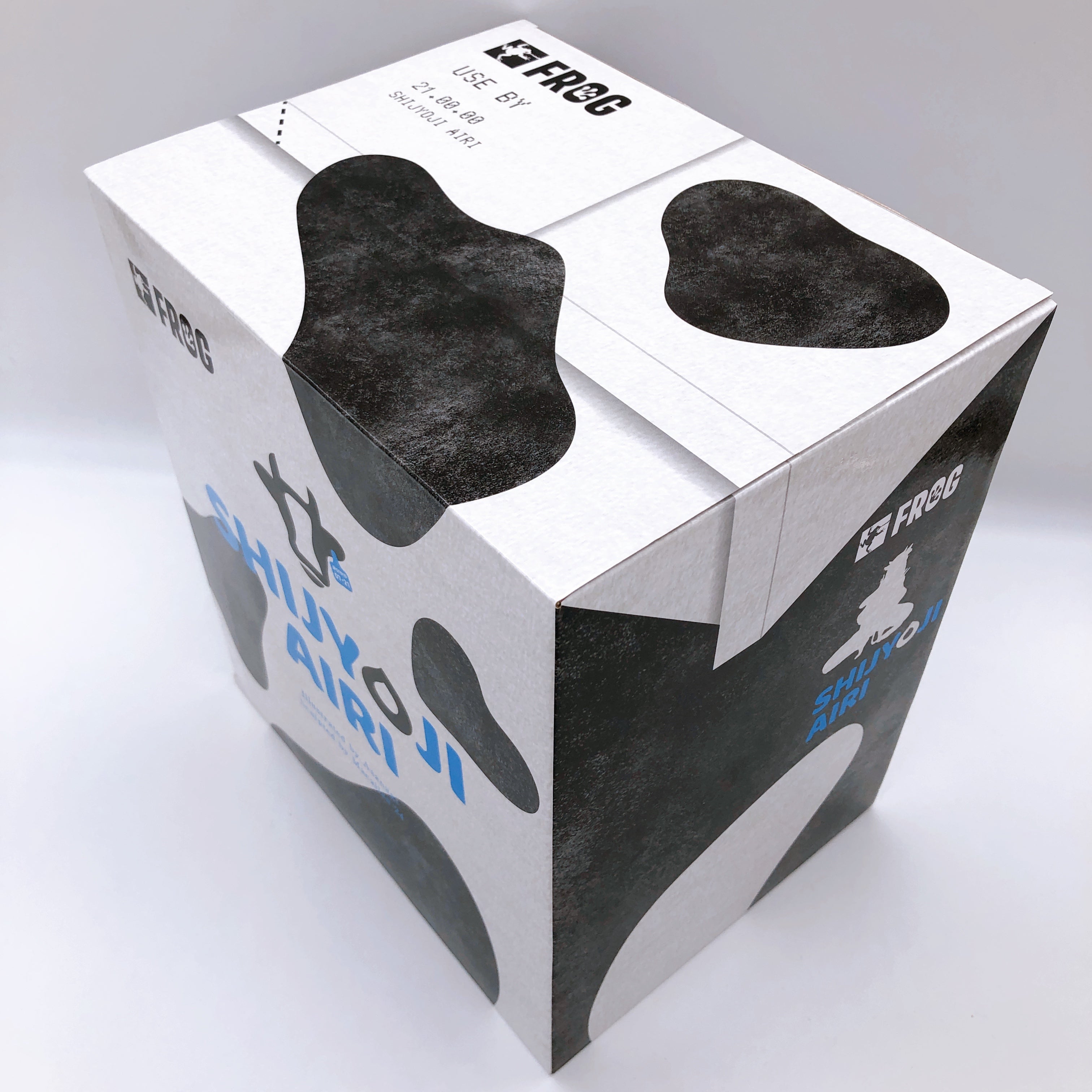 NATIVE AUTHENTIC Airi Shijyoji 1/5 Scale Figure by Asanagi Characters FROG NEW