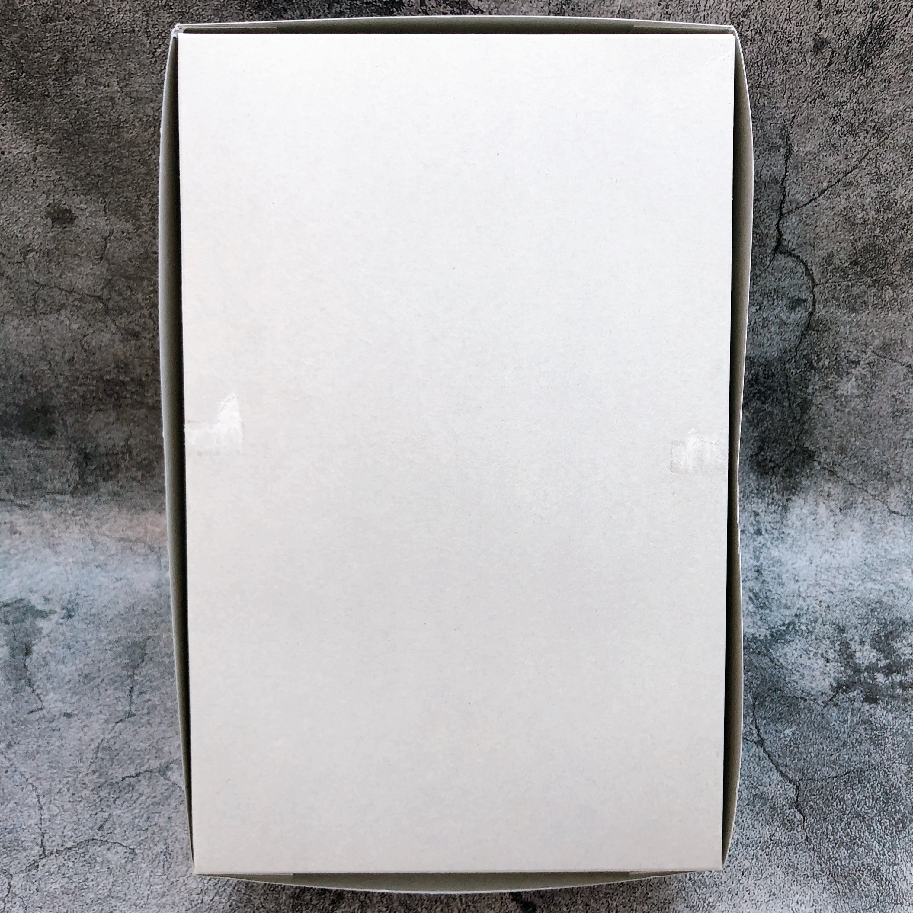 RG Evangelion Mark.06 Neon Genesis Evangelion Model Kit Bandai from Japan NEW