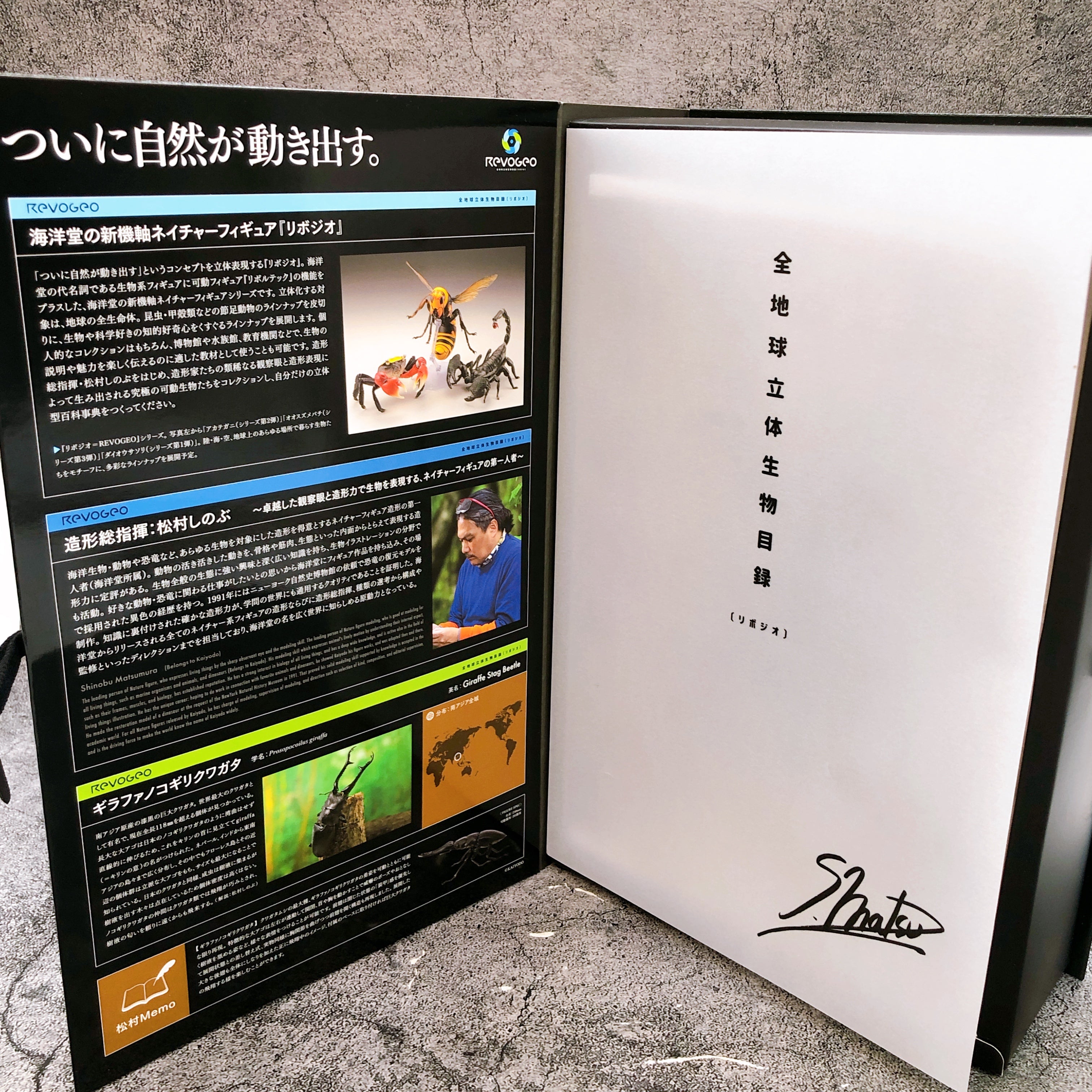 Kaiyodo Revo Geo Prosopocoilus Giraffa Insect Figure Japan