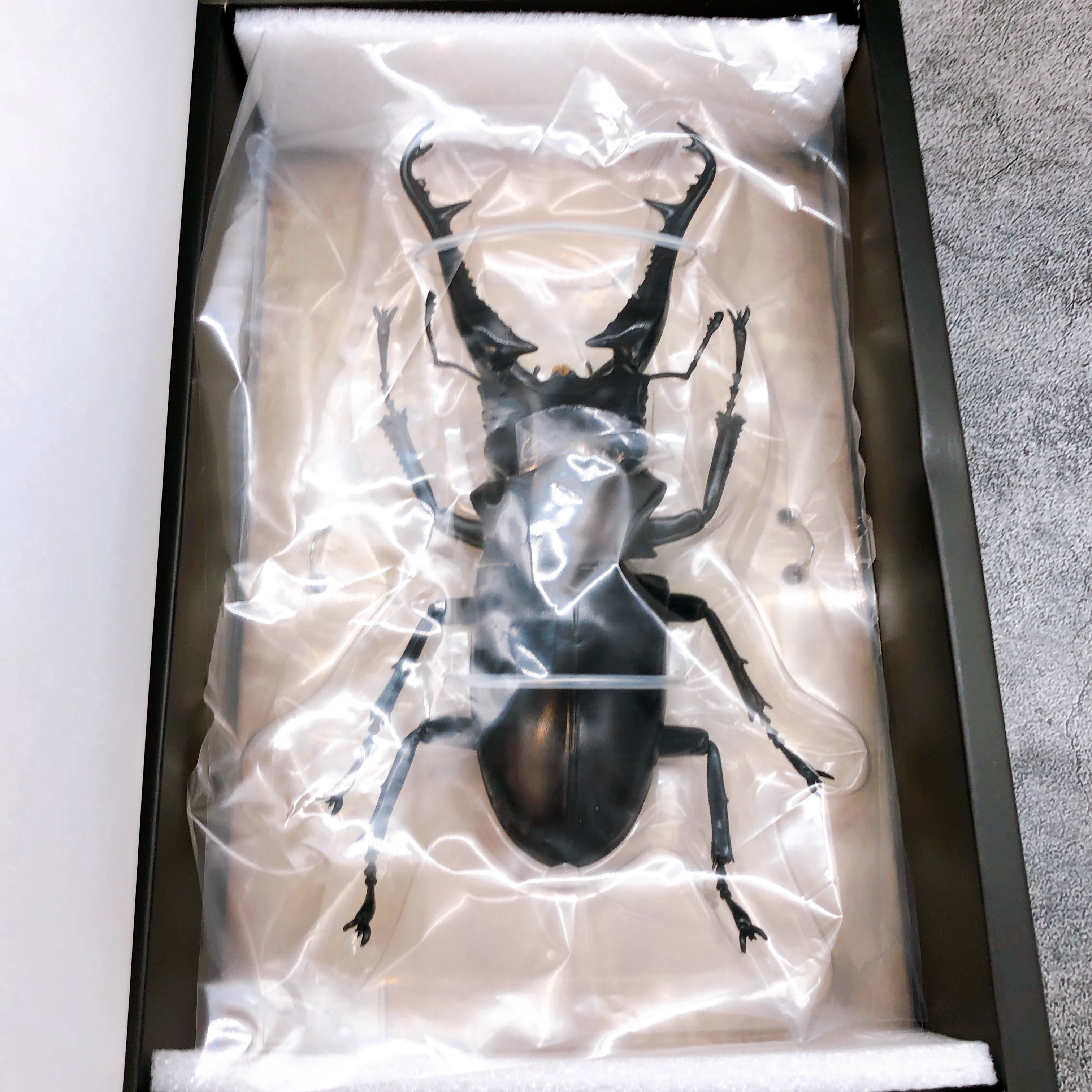 Kaiyodo Revo Geo Prosopocoilus Giraffa Insect Figure Japan