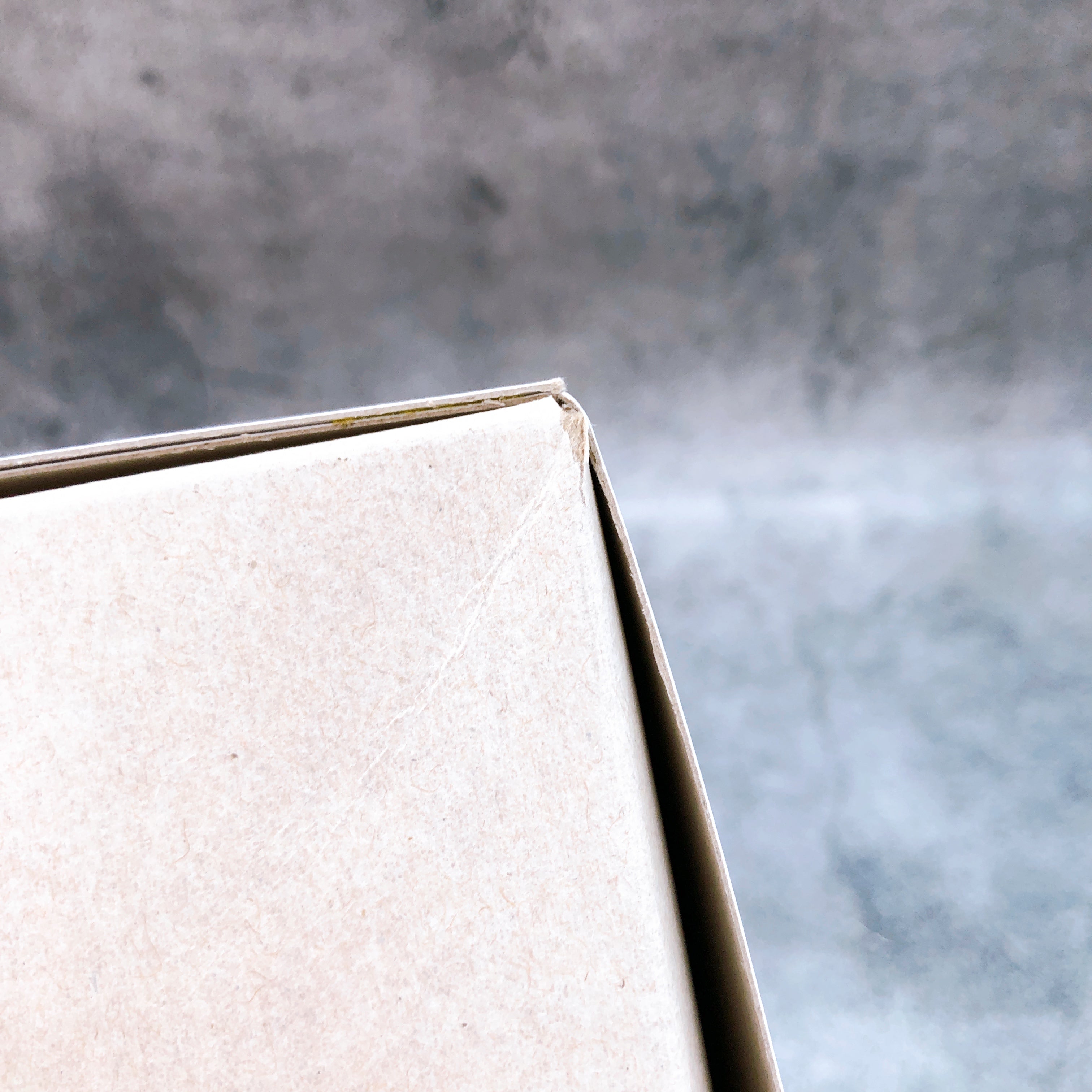 Frame Arms Girl Innocentia Racer & Noseru Racing Specs Ver Kit KOTOBUKIYA NEW