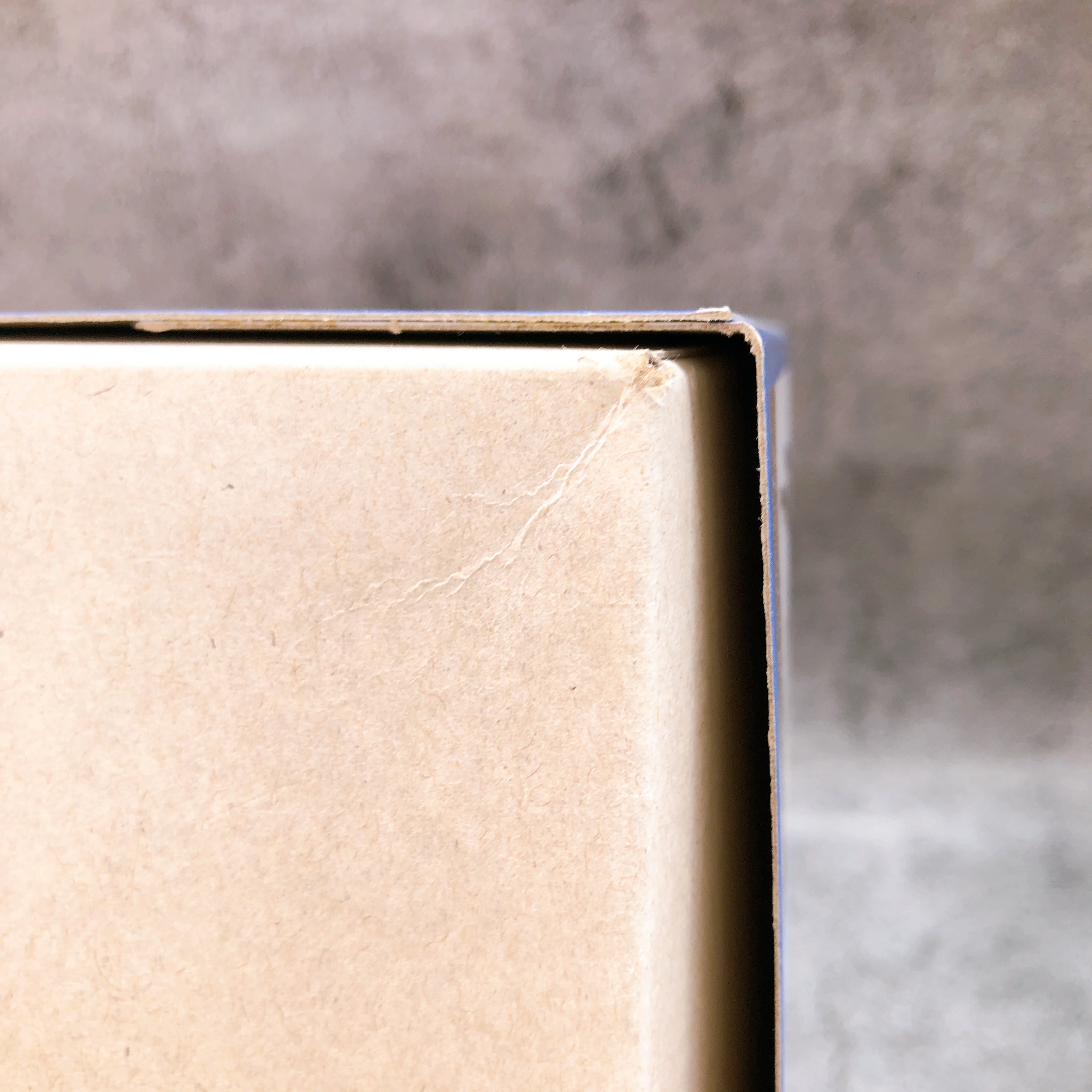 Sousai Shojo Teien Ritsuka Saeki Dreaming Style Knights of Iris Kit KOTOBUKIYA