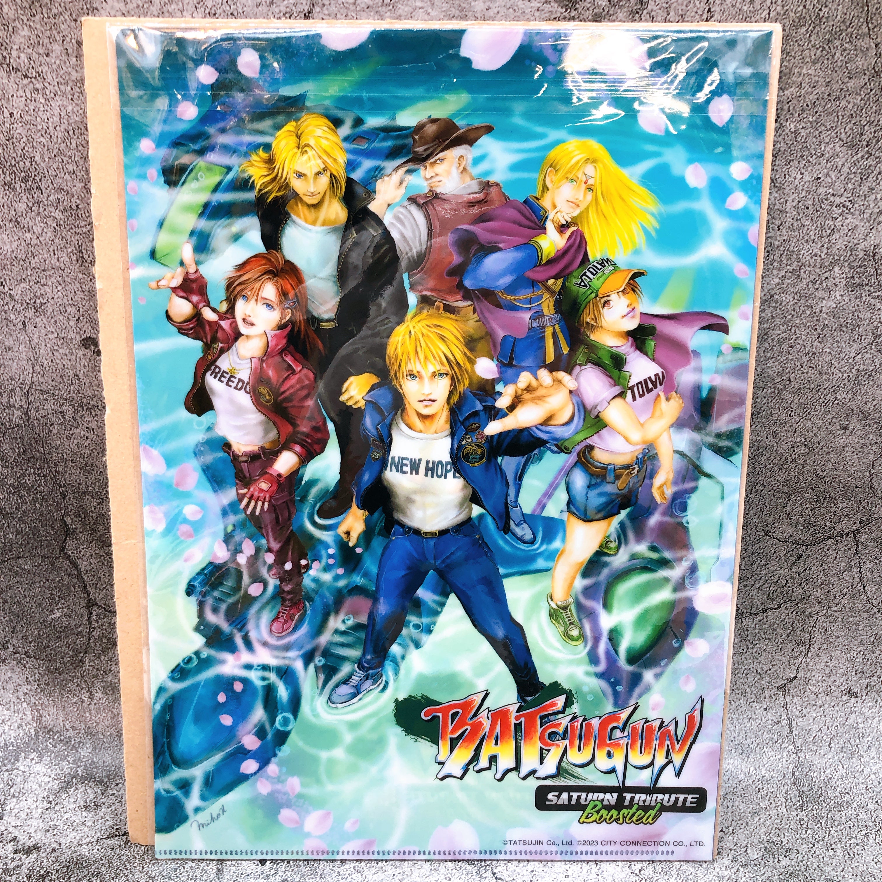 (w/Bonus) PS4 Batsugun Saturn Tribute Boosted Special Limited Shooting Game New