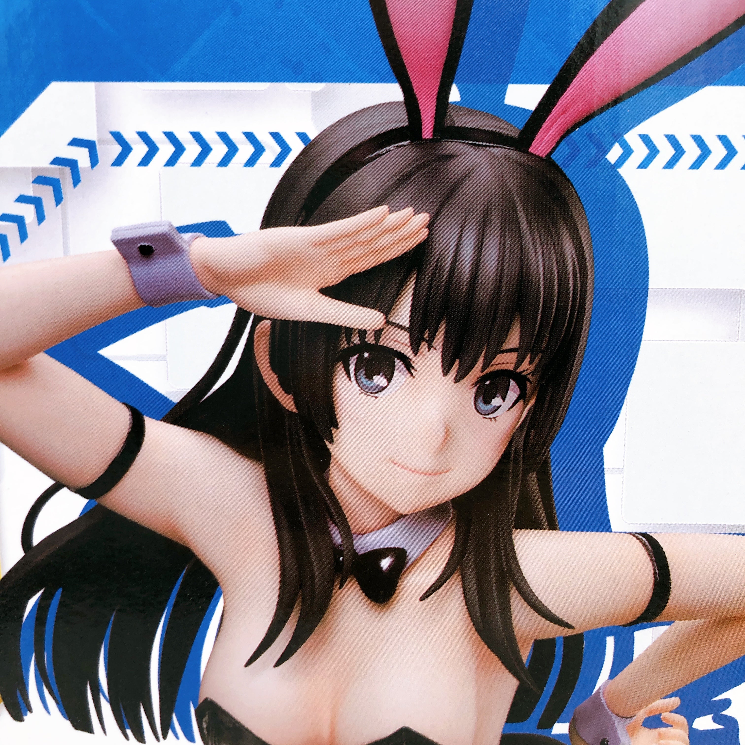 A Certain Scientific Railgun T Ruiko Saten Bunny ver. 1/4 Figure FREEing Japan