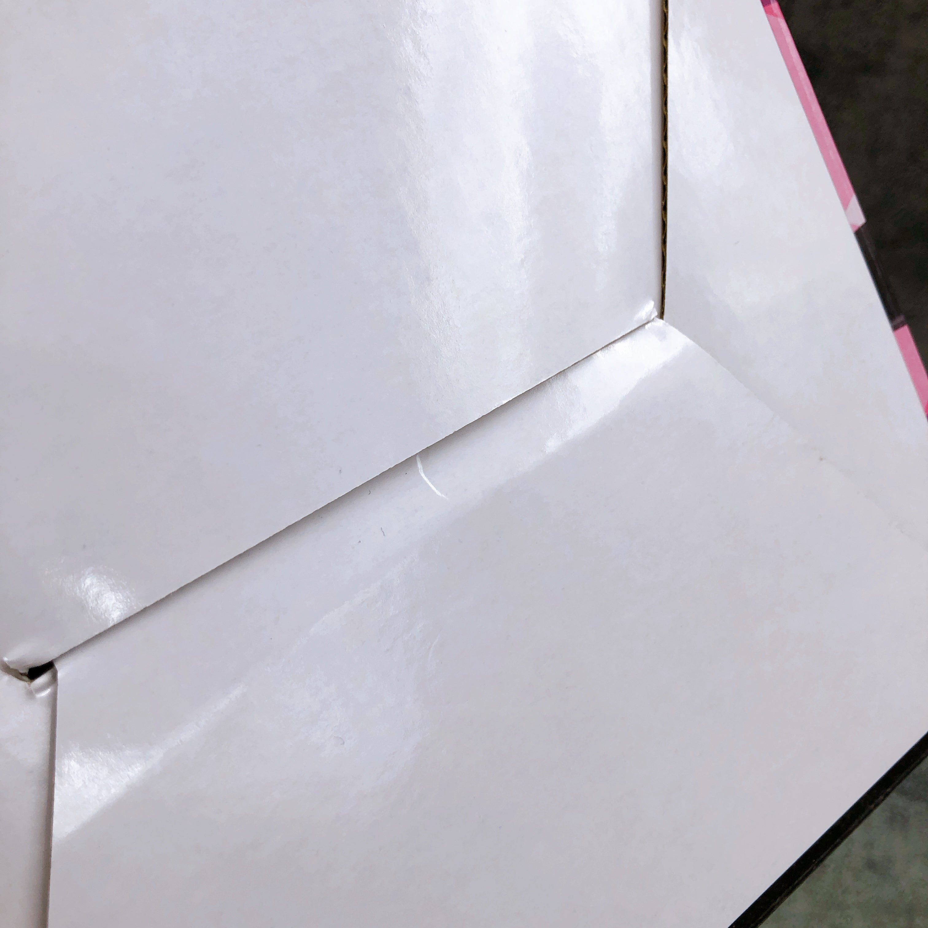 Fate/Grand Order Assassin Koyanskaya of Light 1/7 Scale Figure Aniplex Japan NEW