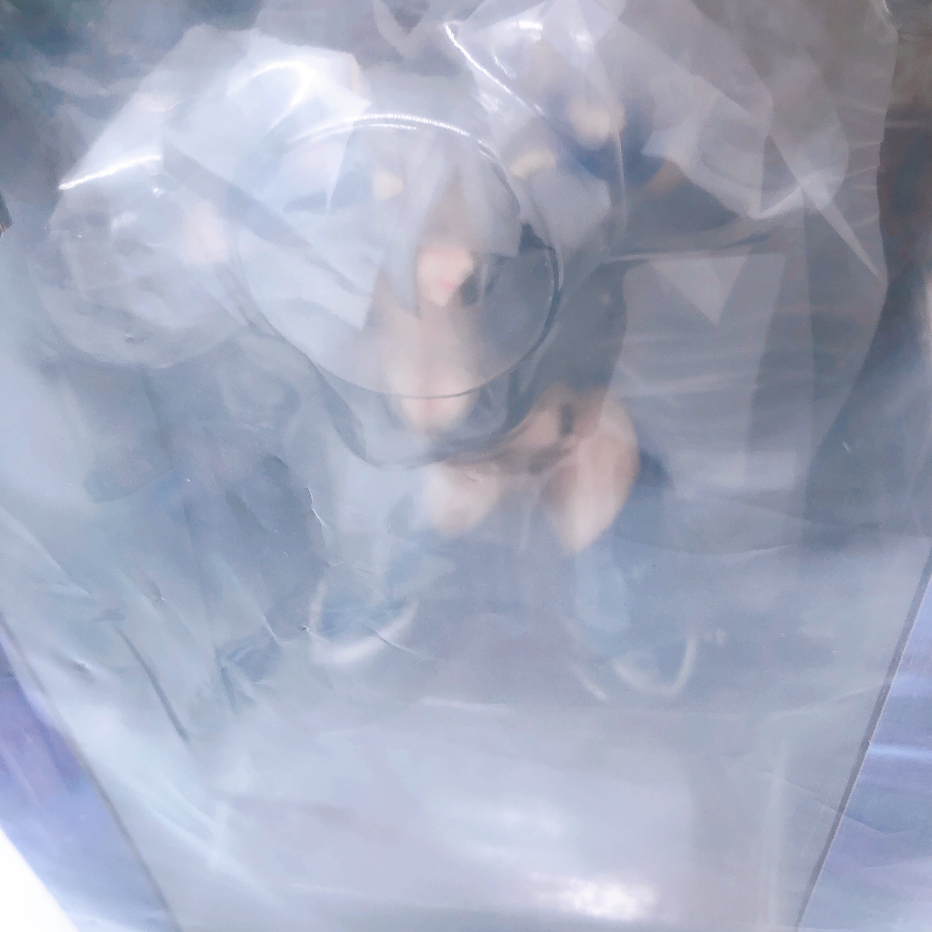 (w/Bonus) SNK Bishoujo Angel 1/7 Scale Figure King of Fighters 2021 Kotobukiya