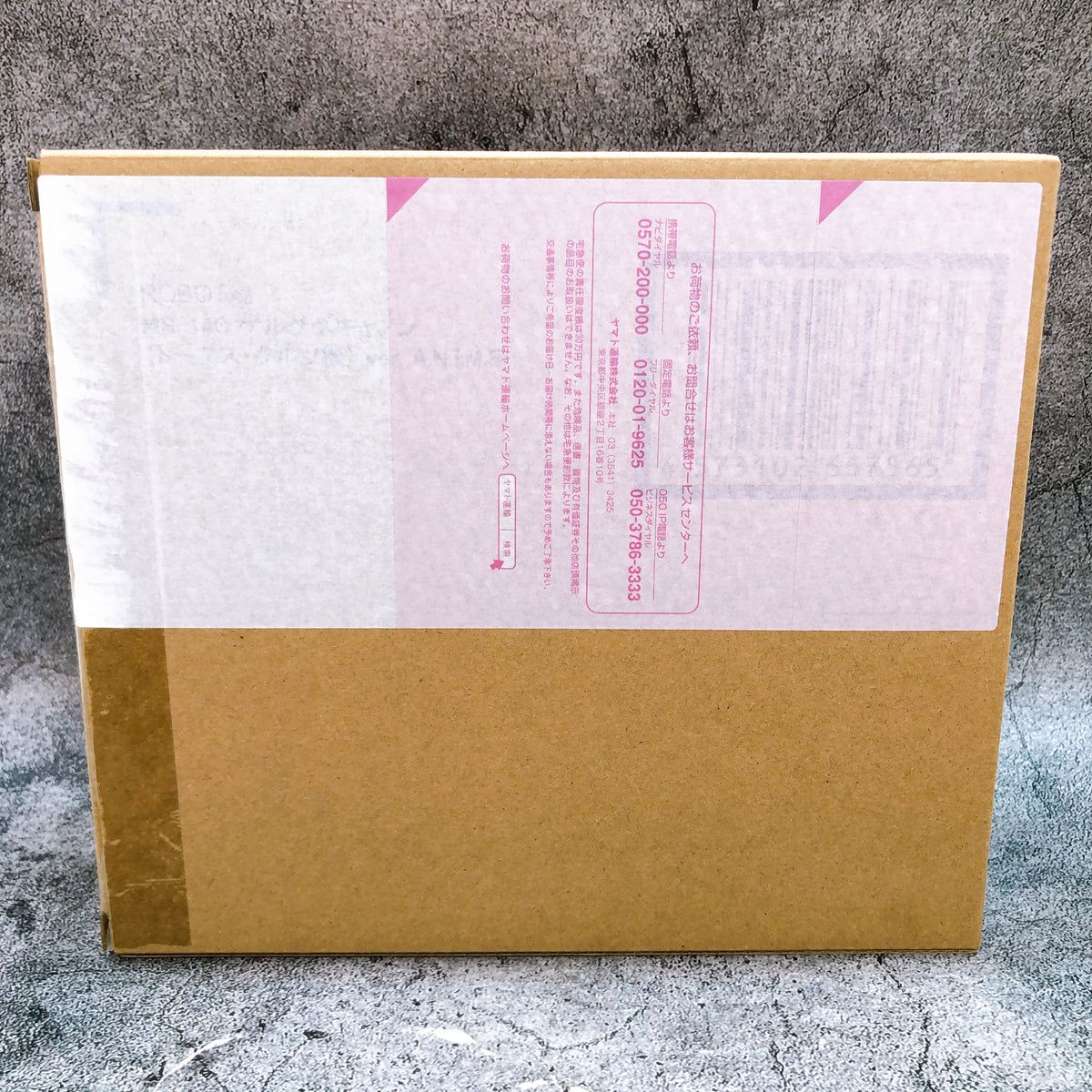 Robot Spirits Thomas Cruz's Gelgoog Canoon ver. A.N.I.M.E. Figure 15+ Bandai NEW