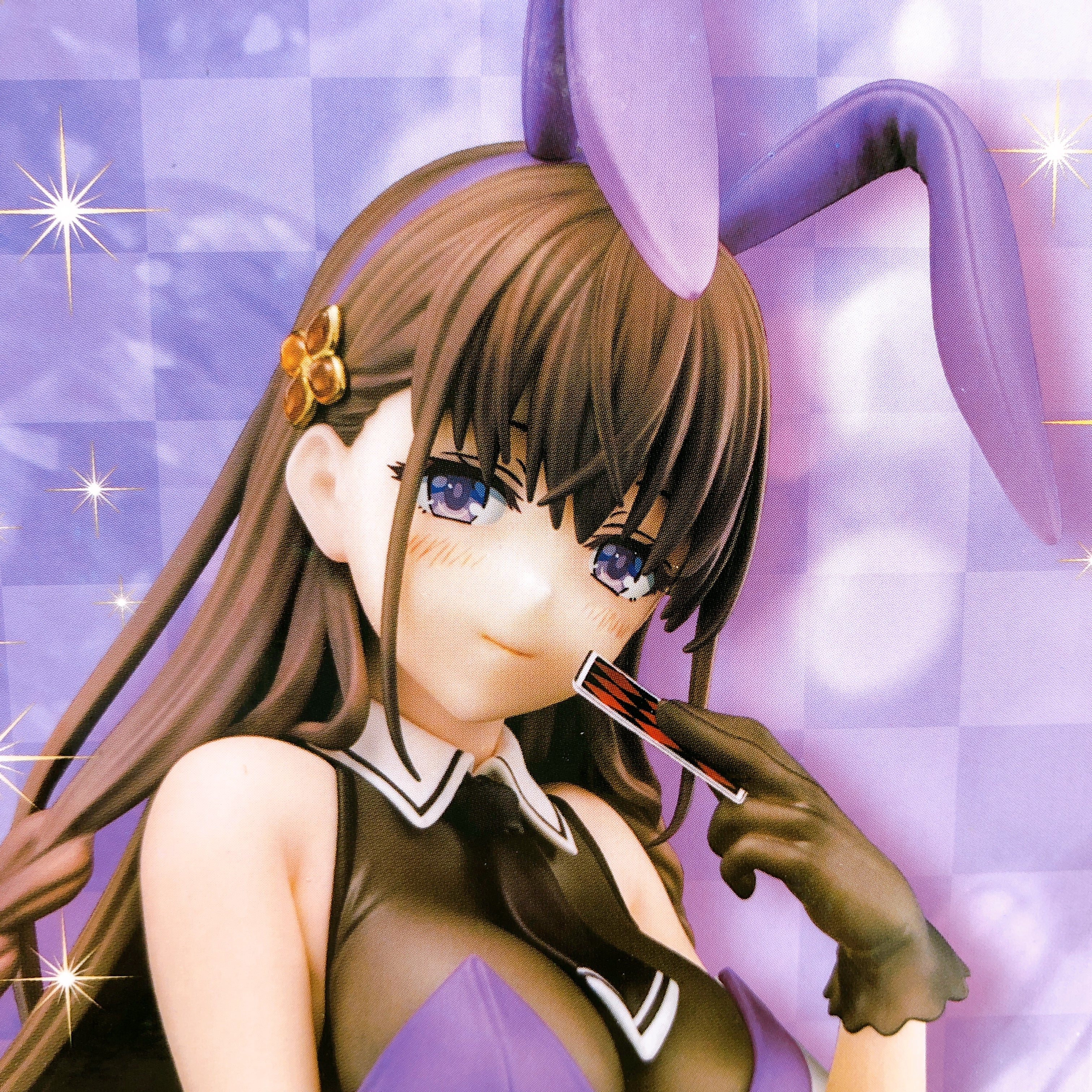 Nippon Columbia Demon Sword Master ELFINE PHILLET Bunny Costume 1/6 Figure NEW