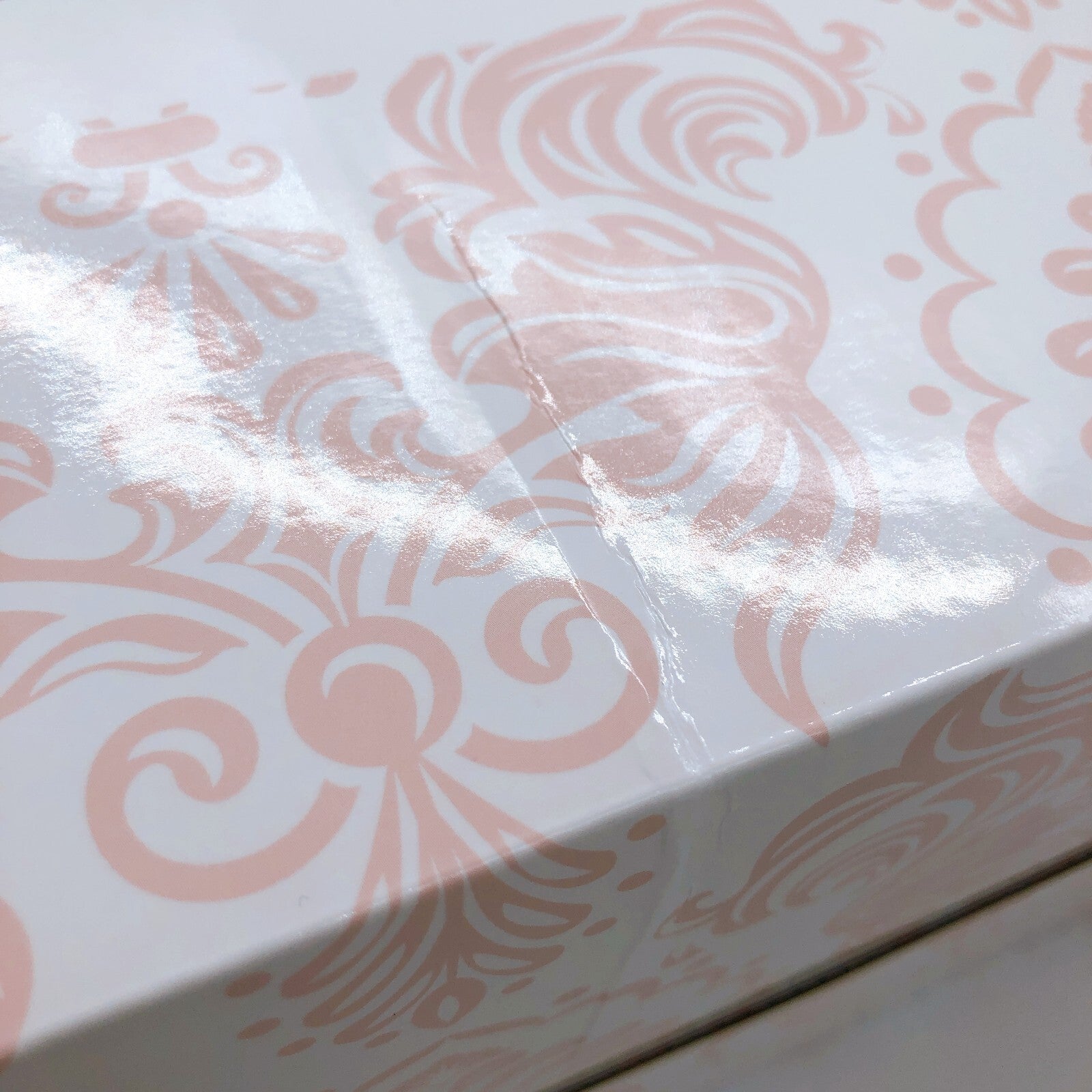 (w/Bonus) PaiZuri PZ Sister Zuriel 1/5 Figure Illustrated Asanagi FROG AUTHENTIC