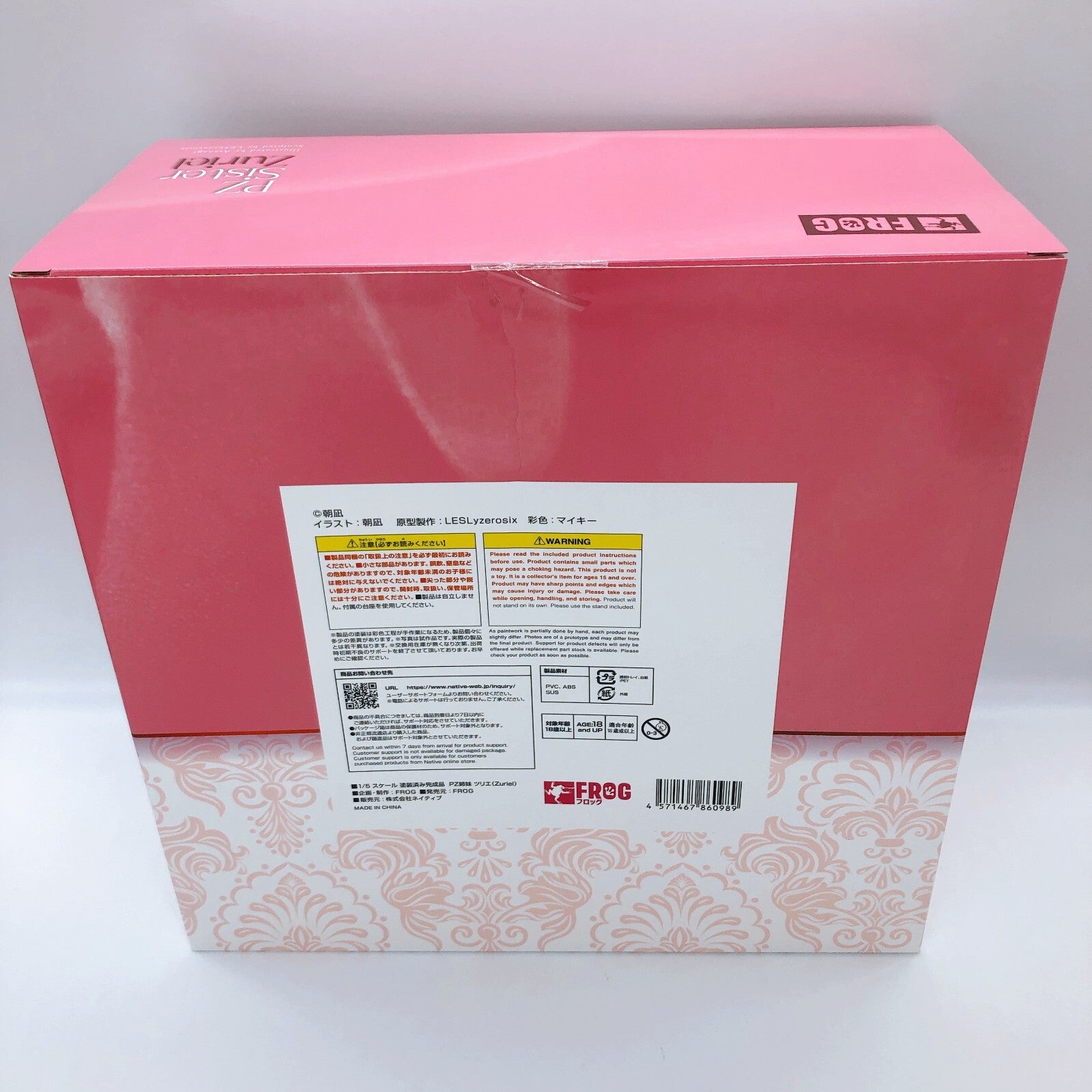 (w/Bonus) PaiZuri PZ Sister Zuriel 1/5 Figure Illustrated Asanagi FROG AUTHENTIC