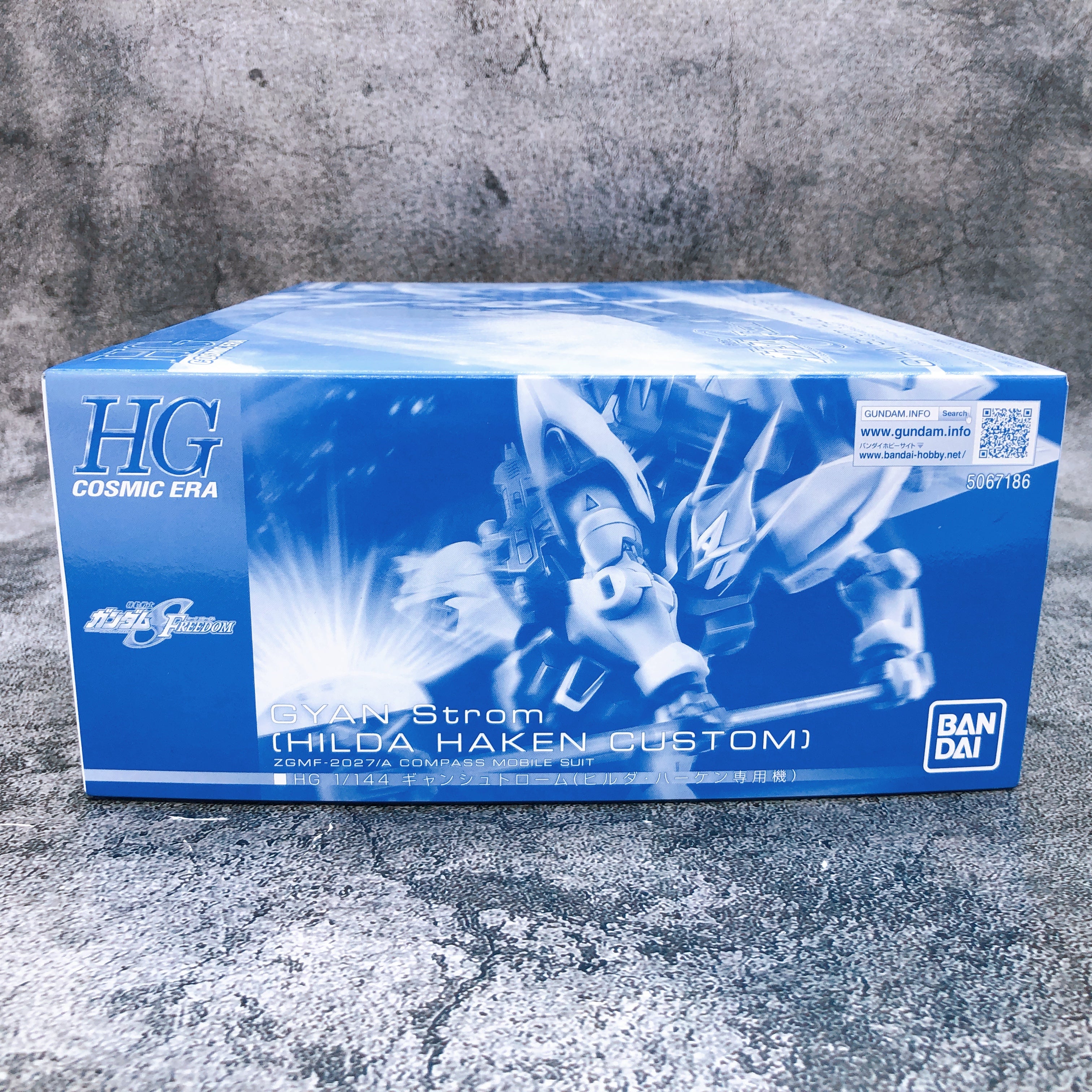 HG 1/144 GYAN Strom HILDA HAKEN CUSTOM Gundam SEED Model Kit Premium Bandai NEW