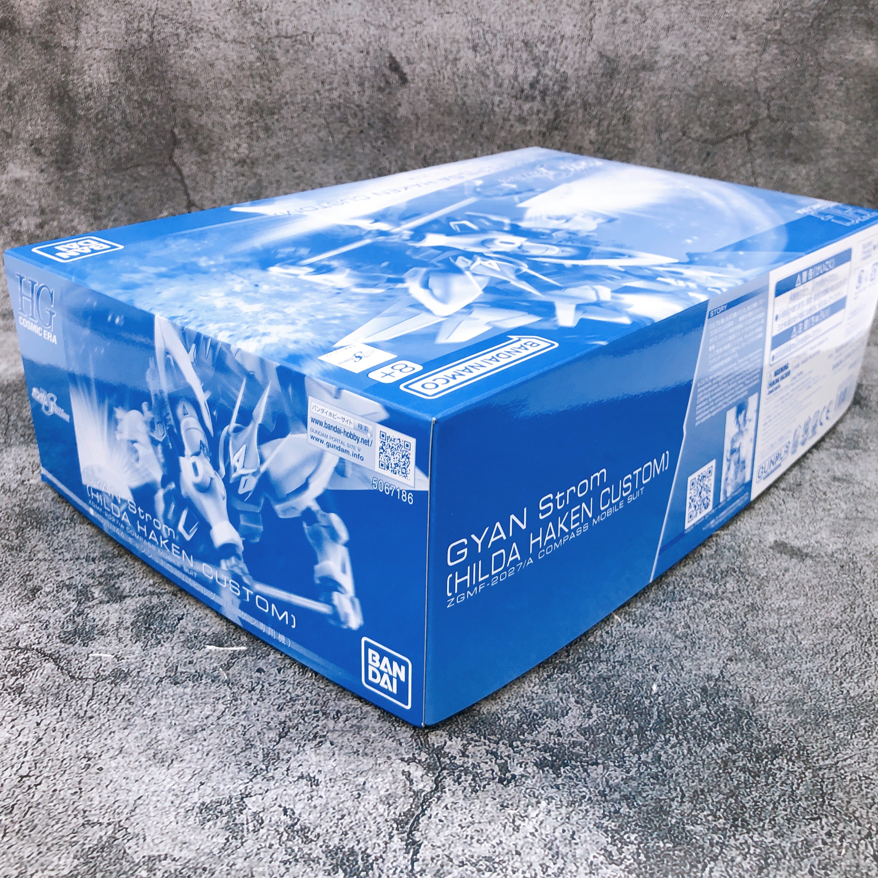 HG 1/144 GYAN Strom HILDA HAKEN CUSTOM Gundam SEED Model Kit Premium Bandai NEW