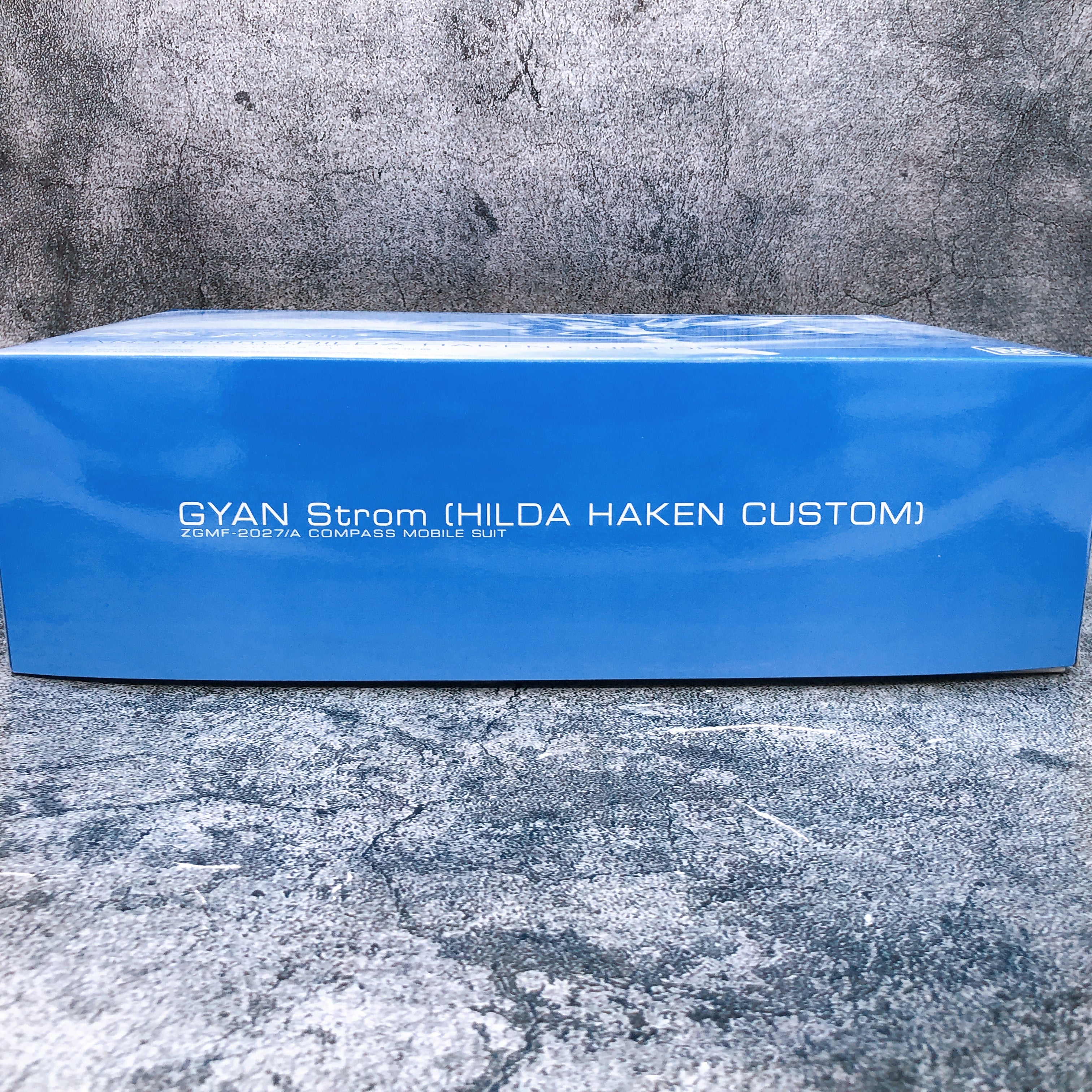 HG 1/144 GYAN Strom HILDA HAKEN CUSTOM Gundam SEED Model Kit Premium Bandai NEW