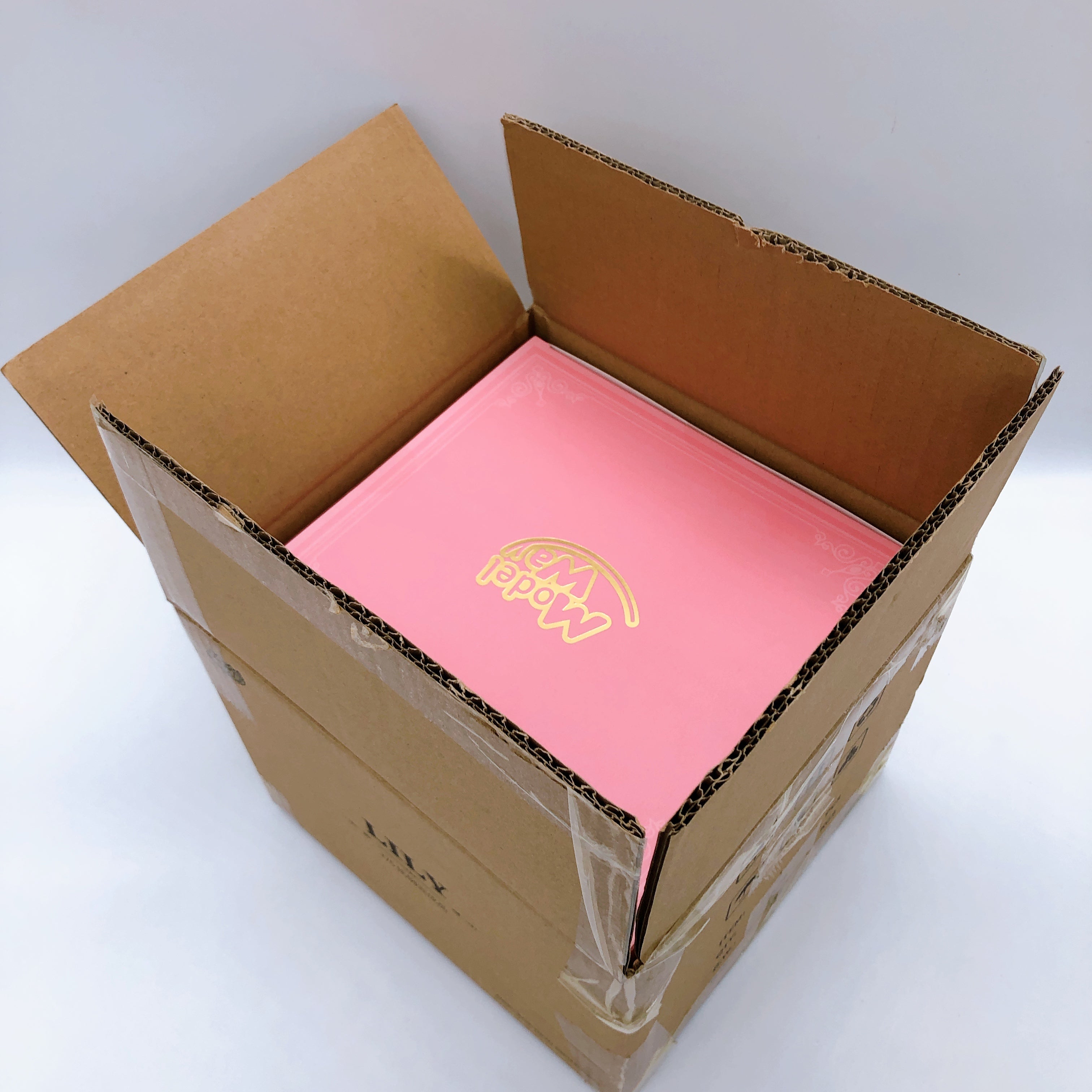 Lily illustration by ATDAN 1/6 Scale Figure Model Way Japan Sealed NEW