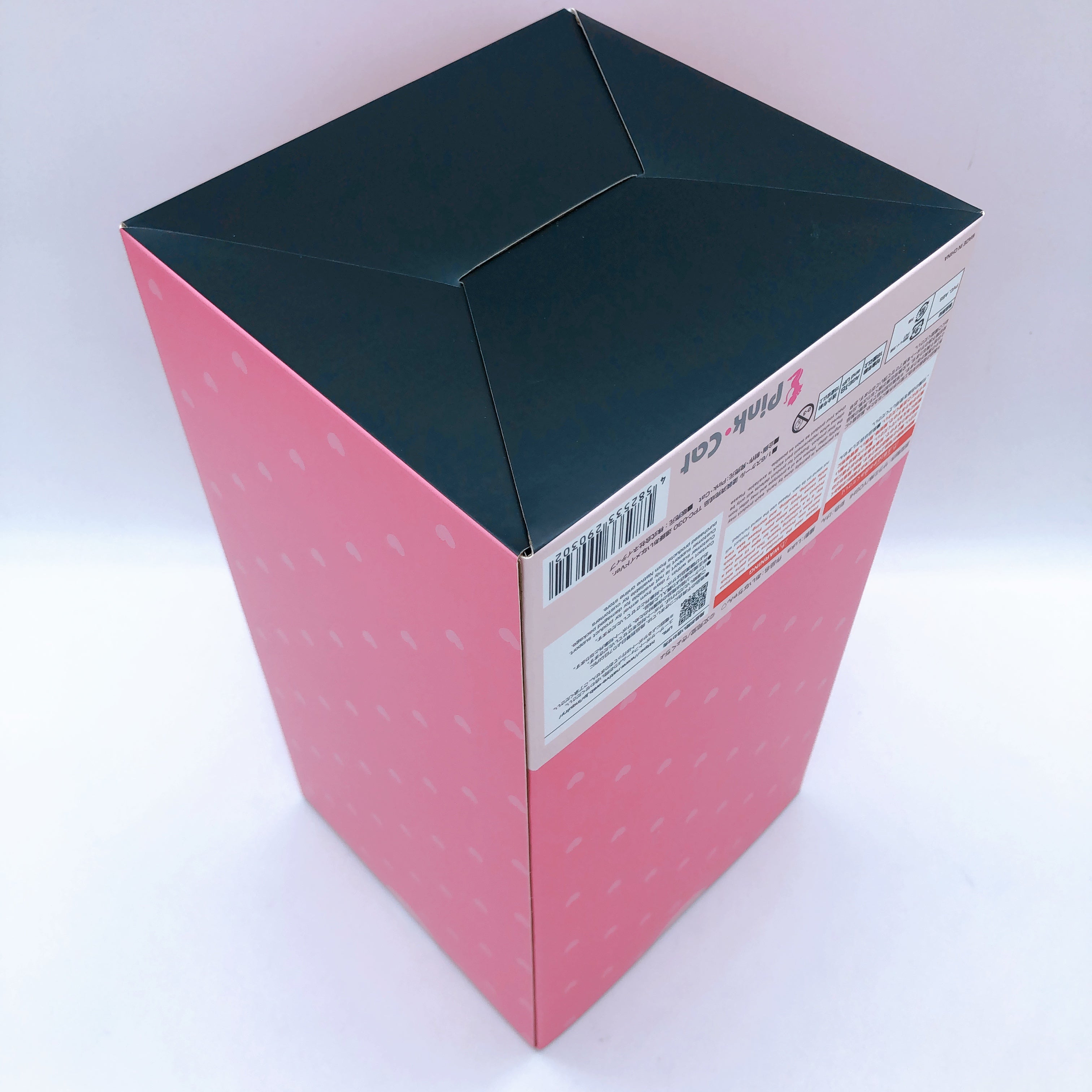 Lovely Aina Endou Maid Ver. 1/6 Scale Figure Native Japan AUTHENTIC Pink Cat