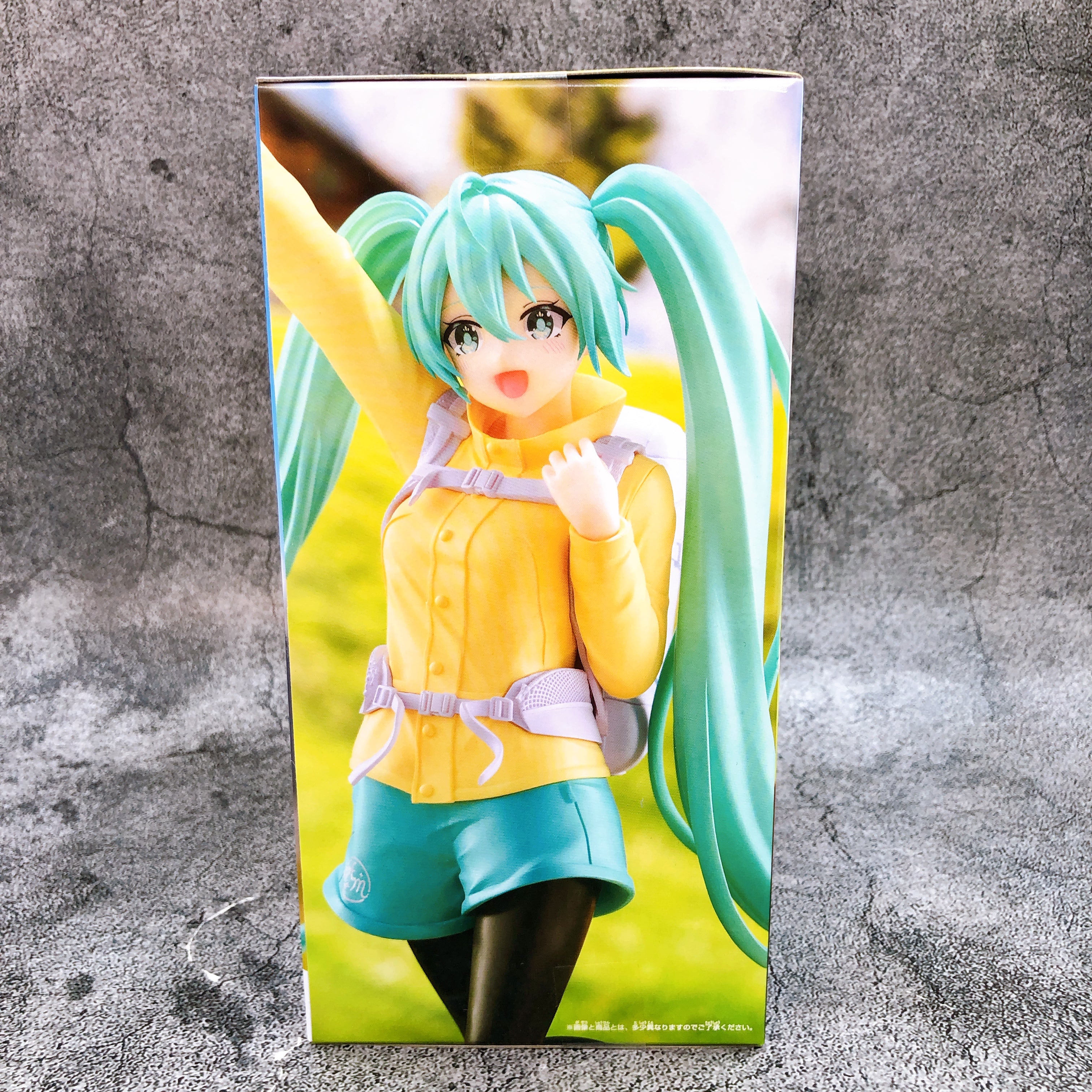 Hatsune Miku Holiday Memories Mountain Climbing Figure BANPRESTO Japan Sealed