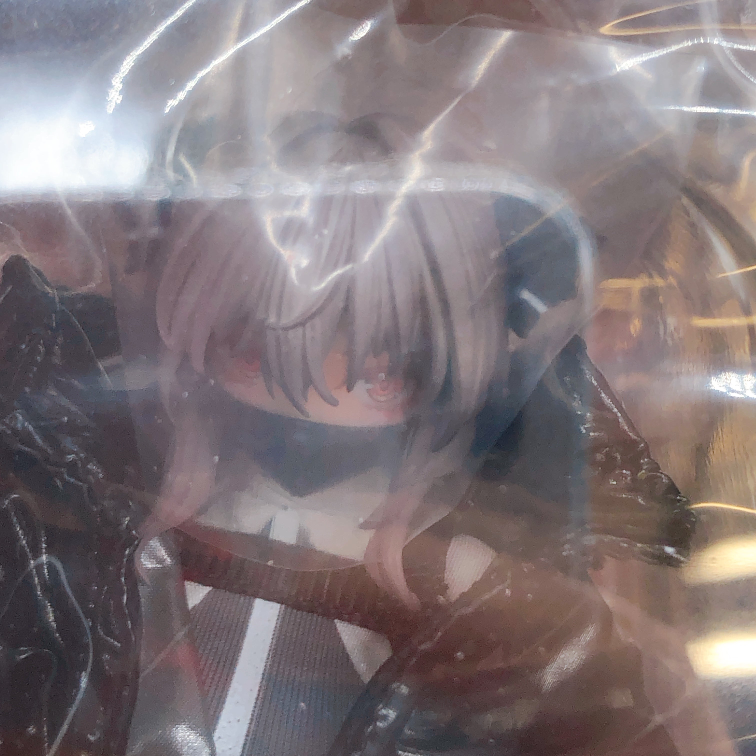 Succubus Sister Friede pocket art Series PA009 1/12 Action Figure Hasuki