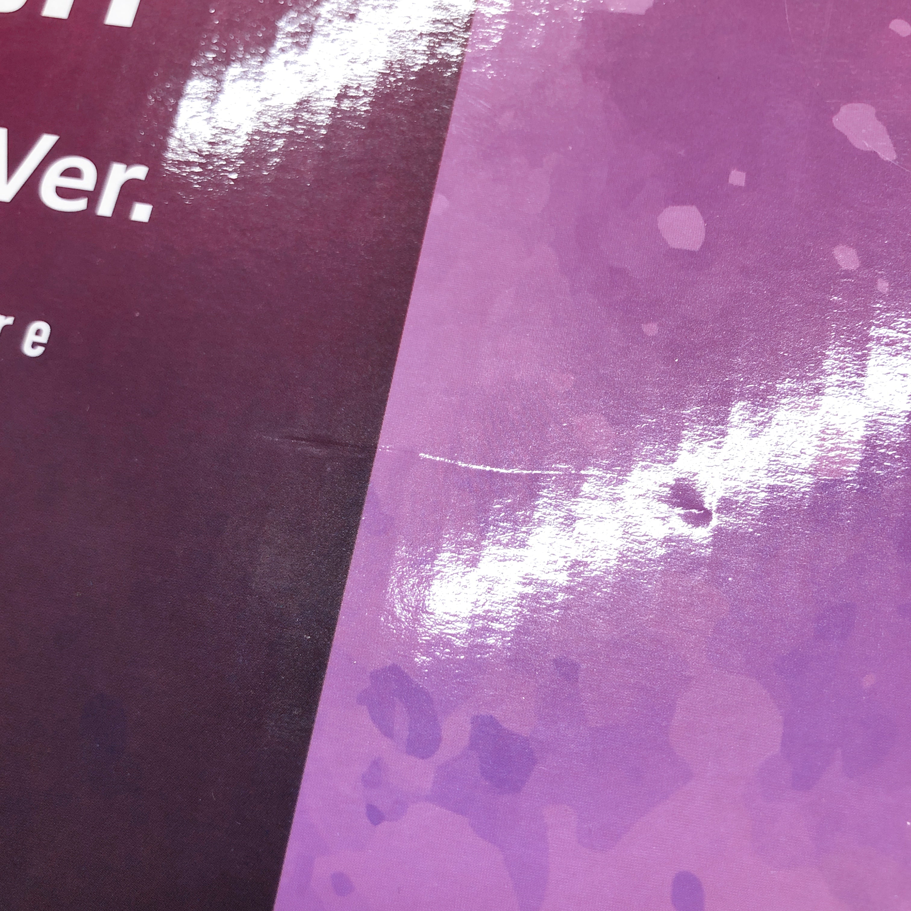 Street Fighter Han Juri Bunny Ver. B-style 1/4 Scale Figure FREEing NEW FASTSHIP