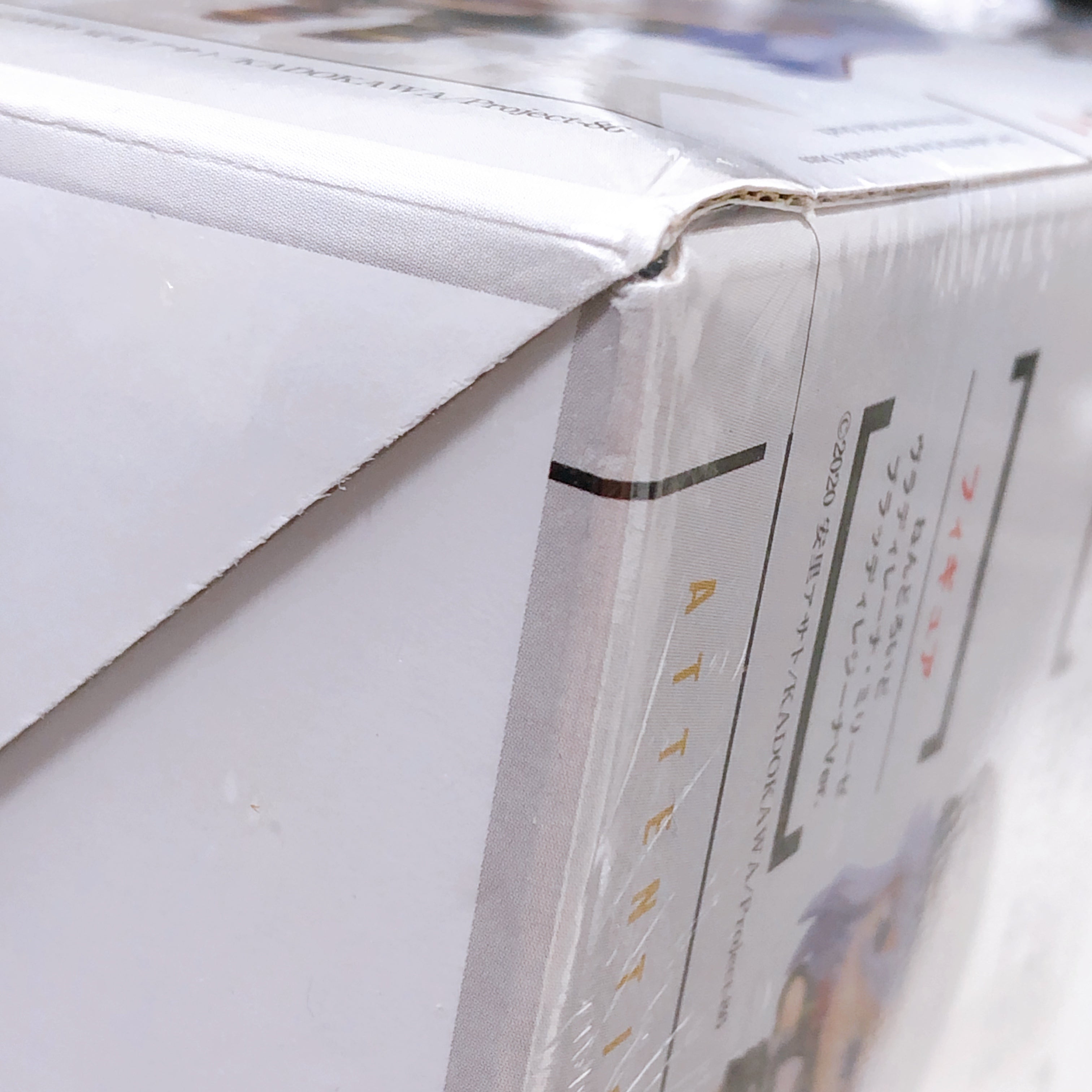 86 Eighty Six Vladilena Milize Bloody Regina Nendoroid Novel 12 Special Edition