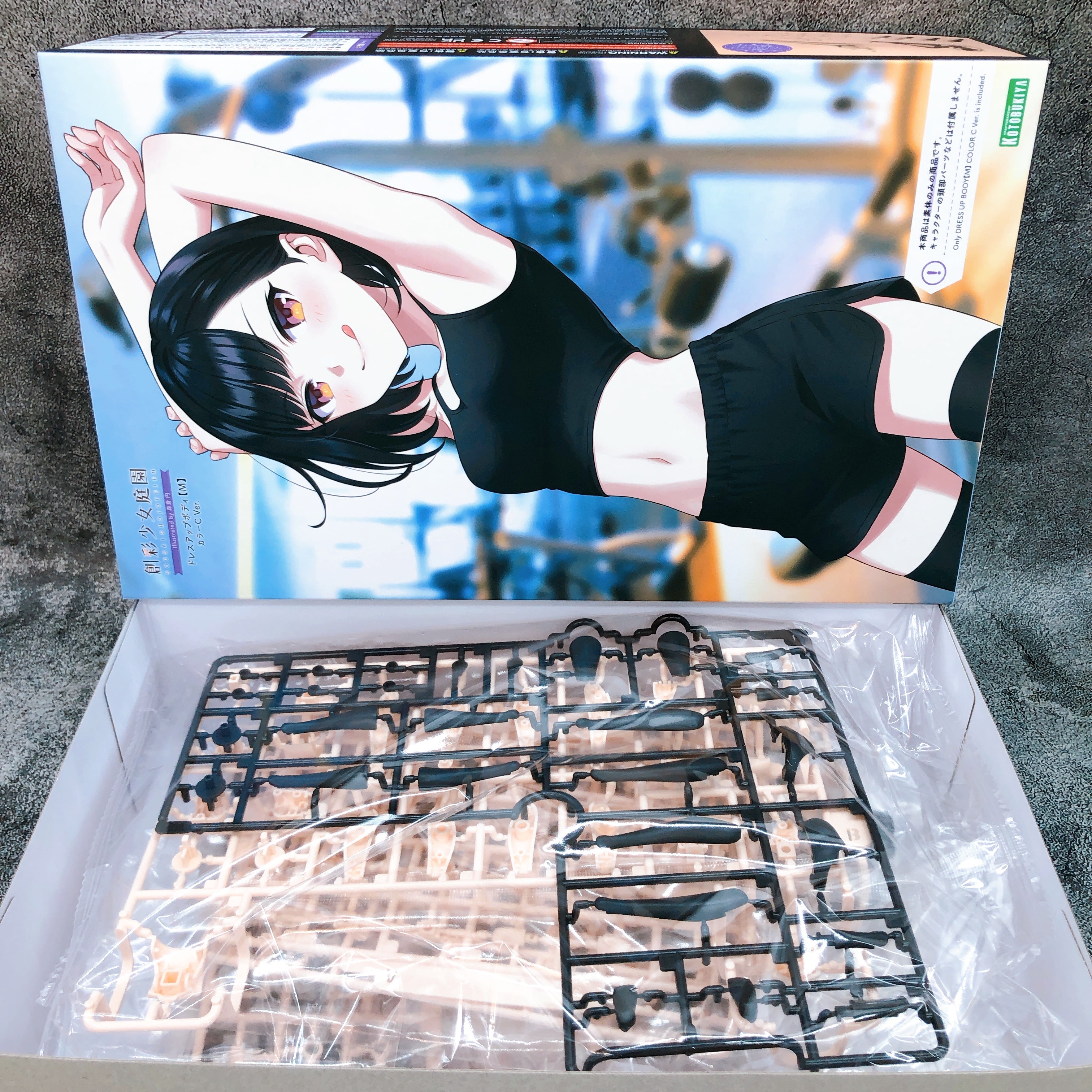 Sousai Shojo Teien Dress Up Body M Color C Ver 1:10 Kit KOTOBUKIYA NEW FASTSHIP