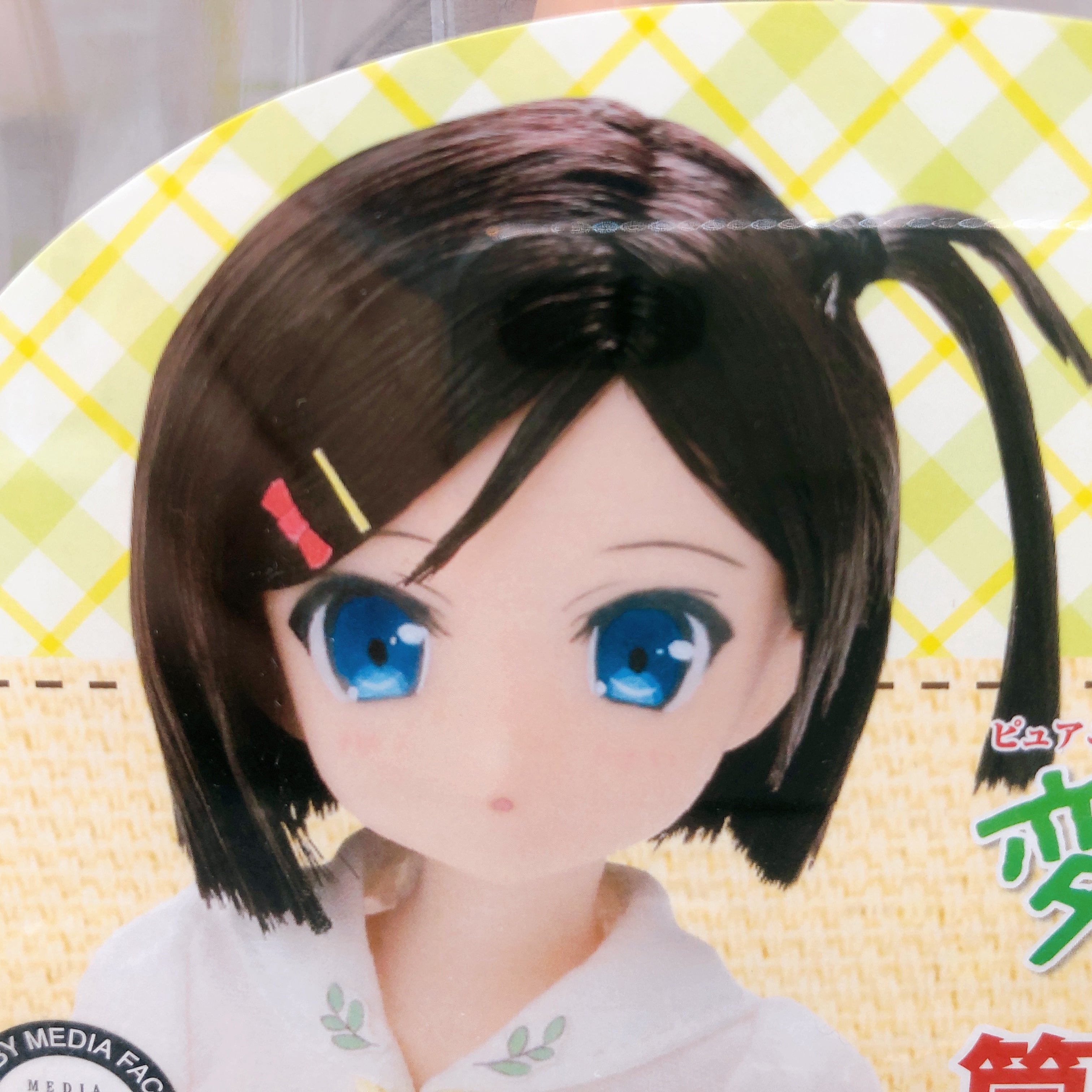 AZONE Pure Neemo Tsukiko Tsutsukakushi No. 071 Action Doll Figure NEW